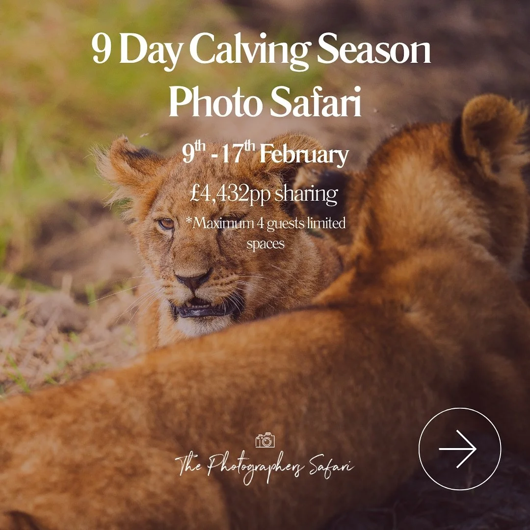 Our Calving Season group safari is now available for booking. Limited spots available!