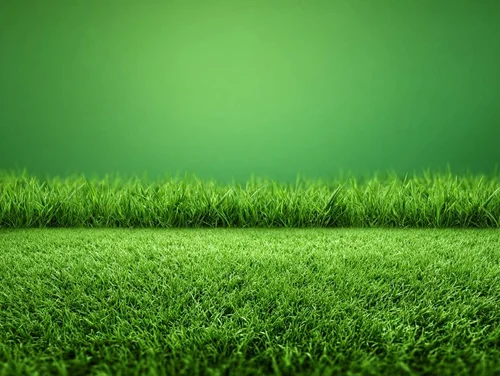 Can I Burn Garden Waste in My Garden in the UK? | Habitat Landscaping