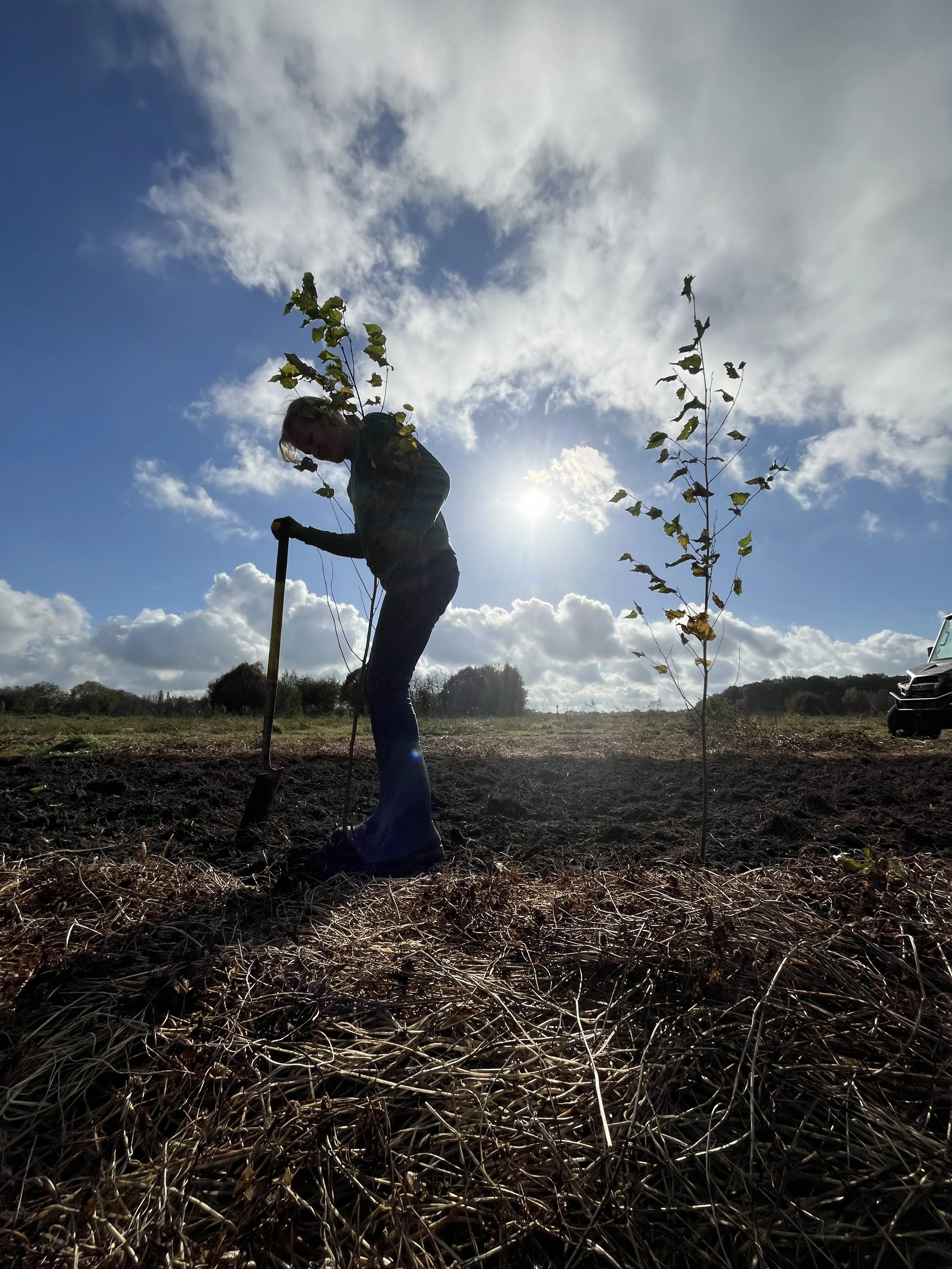 Boomplantdag Januari i.s.m. Meerbomen.nu