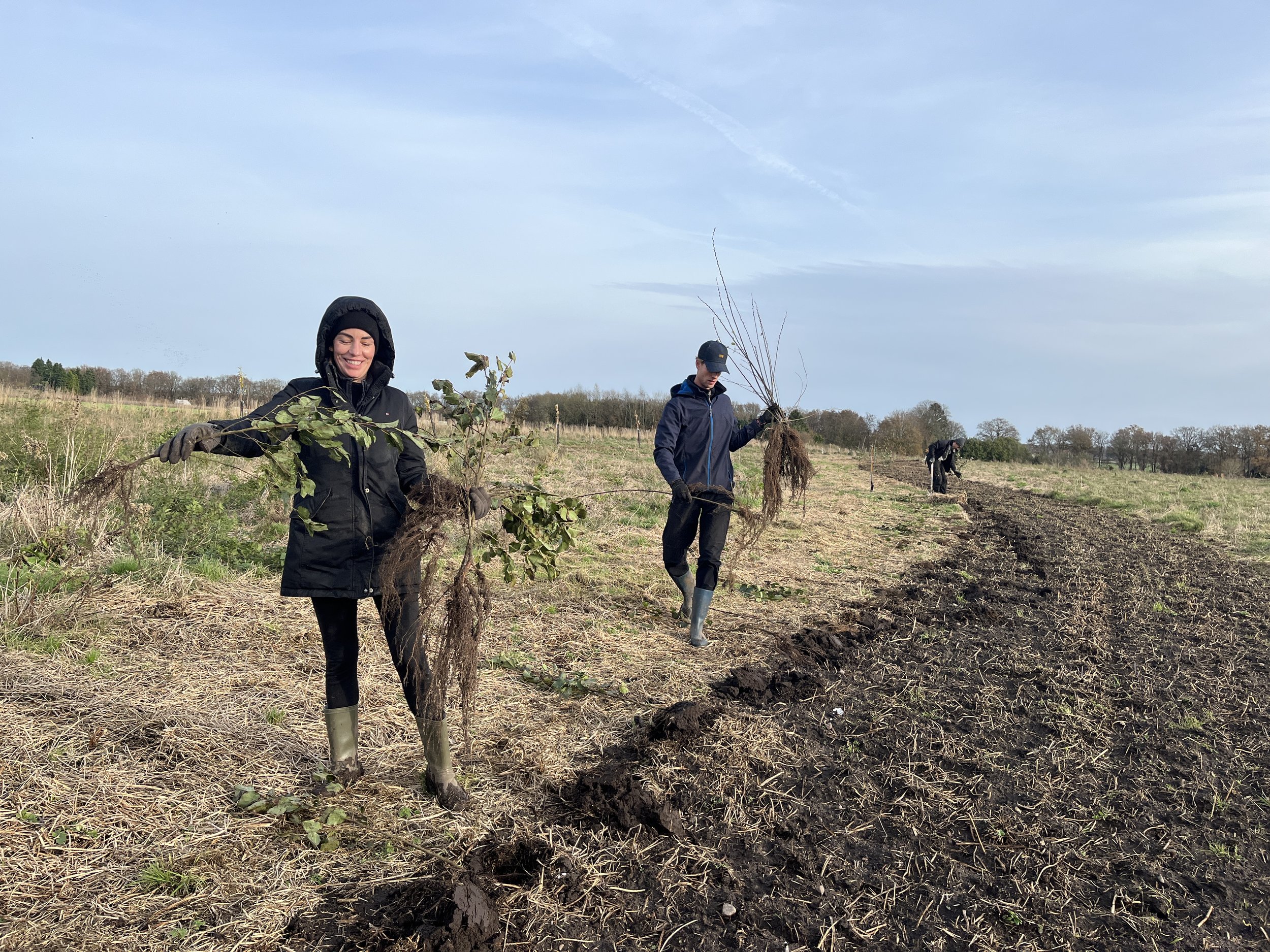 Boomplantdag4.JPG