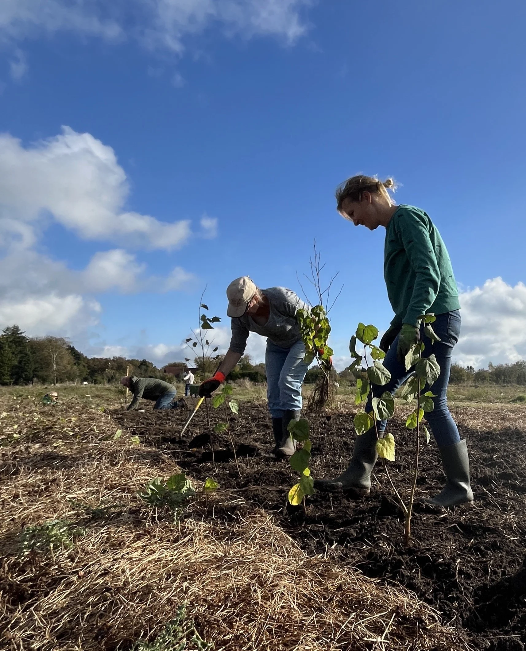 Boomplantdag.JPG