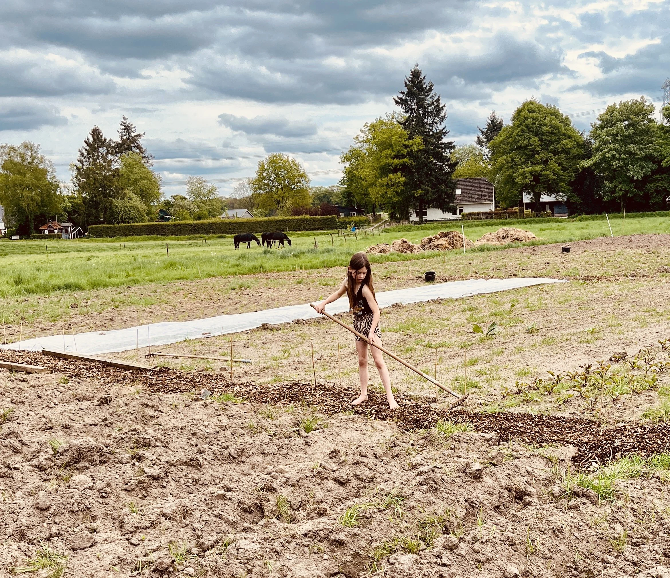 NL-Doet Lente-plantdag
