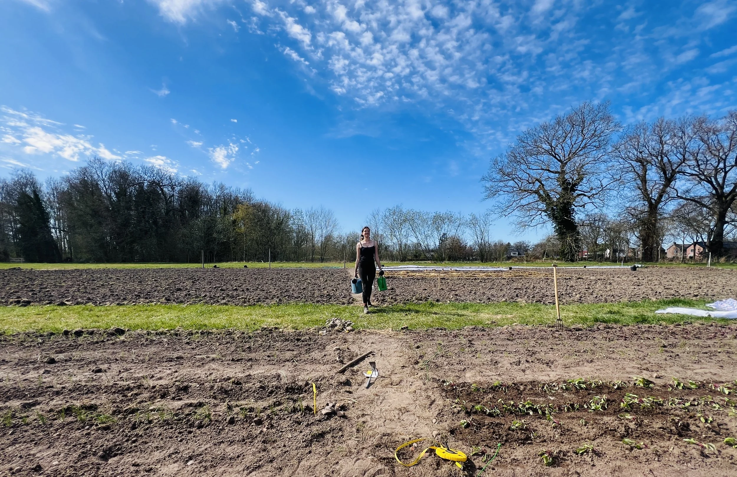 De contouren van de tuin worden duidelijk