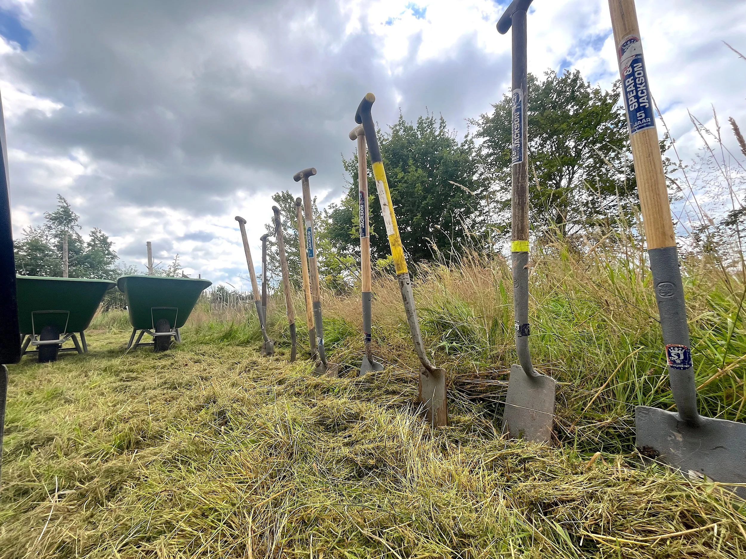 Boomplantdag Februari i.s.m. Mooyland