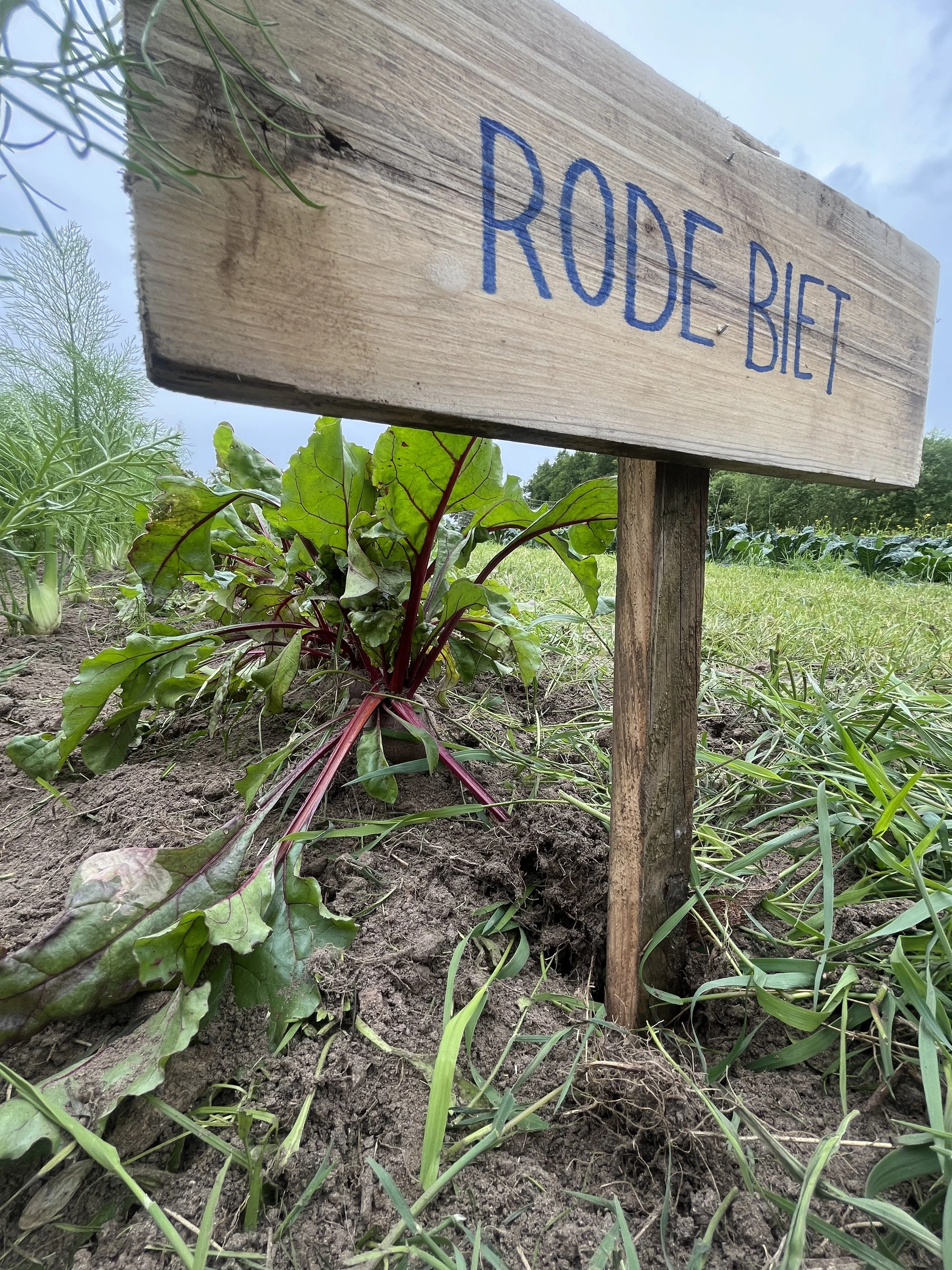 ‘N Bietje meer voor minder