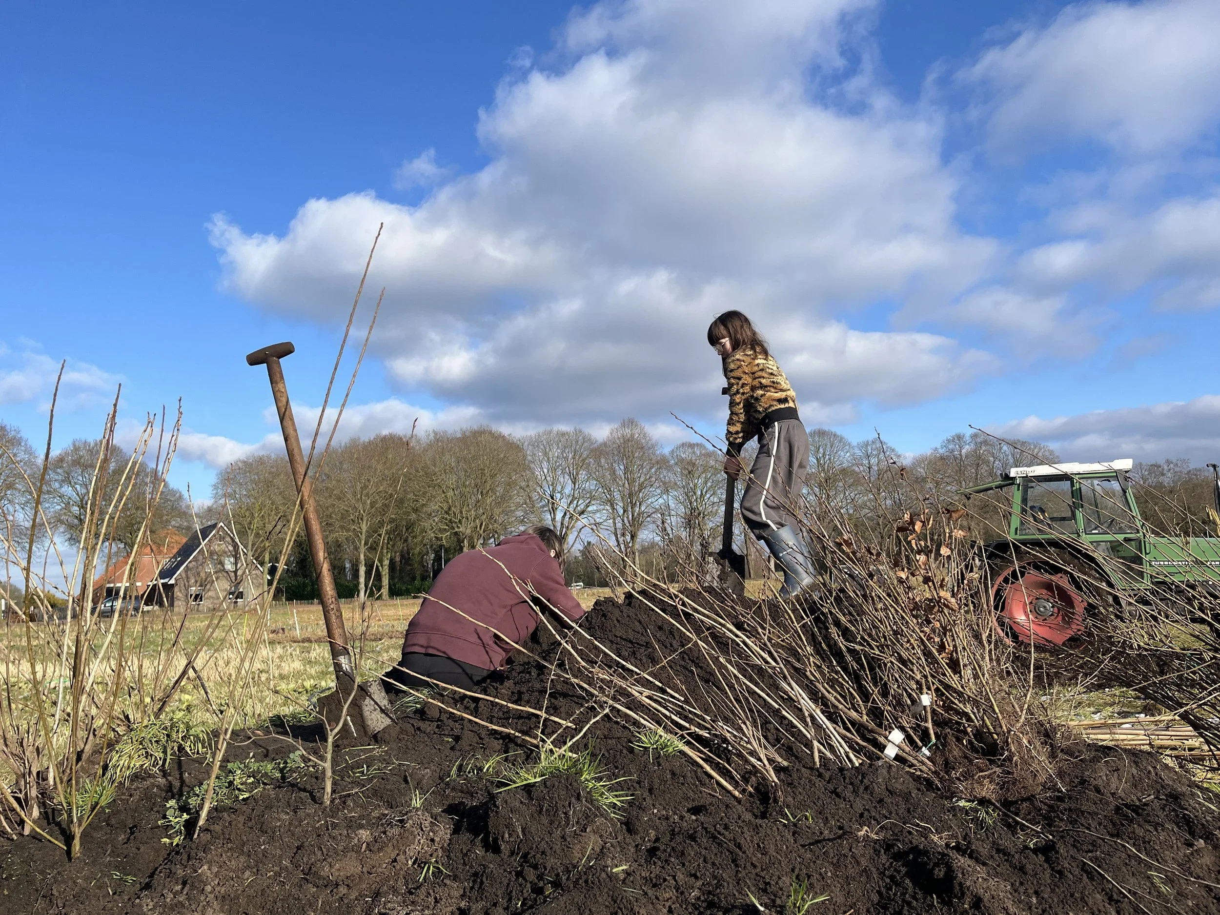 Bomenplanten2.webp
