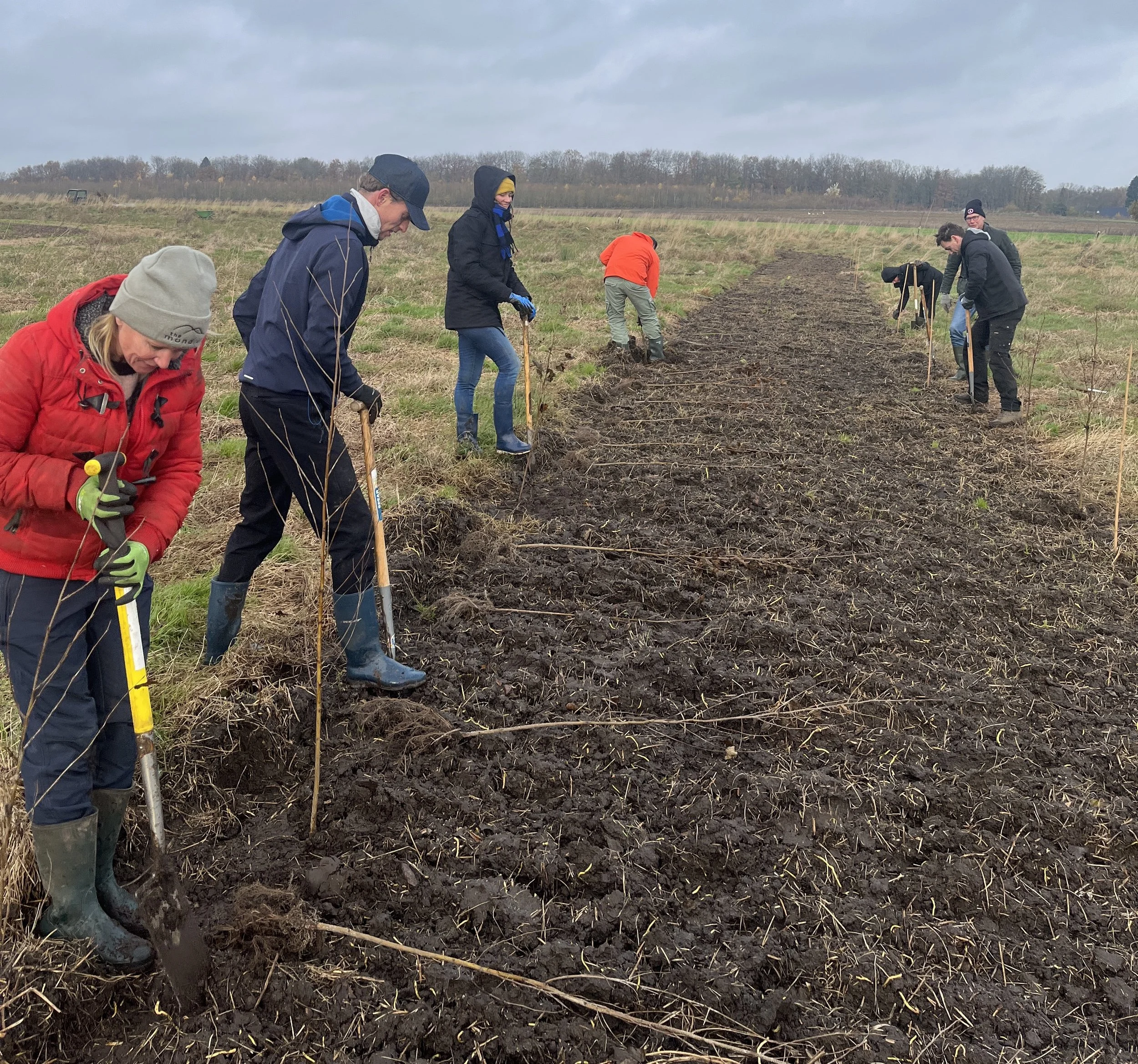 Boomplantdag3.JPG