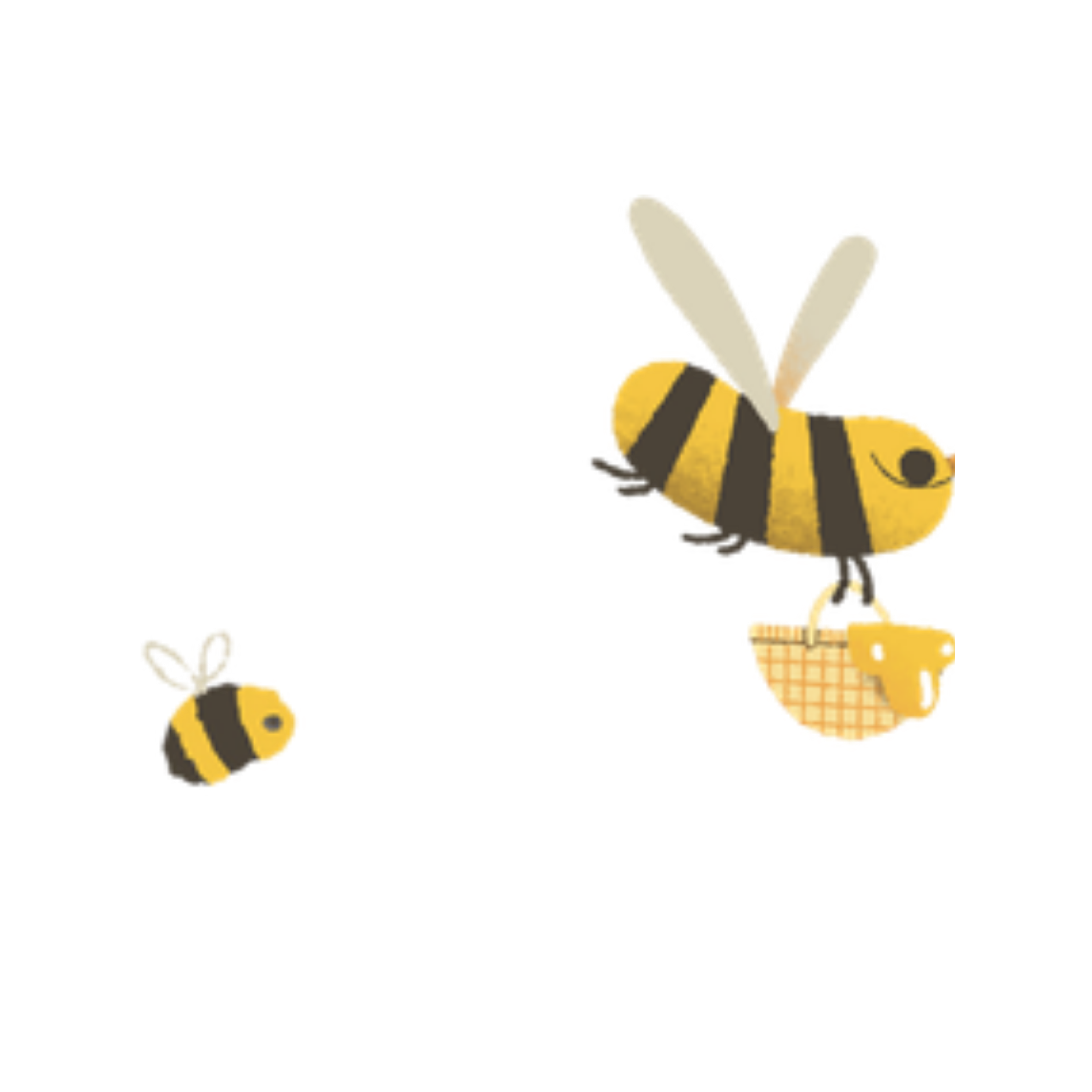 Twee vrouwen plukken sla in een moestuin op een zonnige dag, omringd door groene bomen en gewassen.