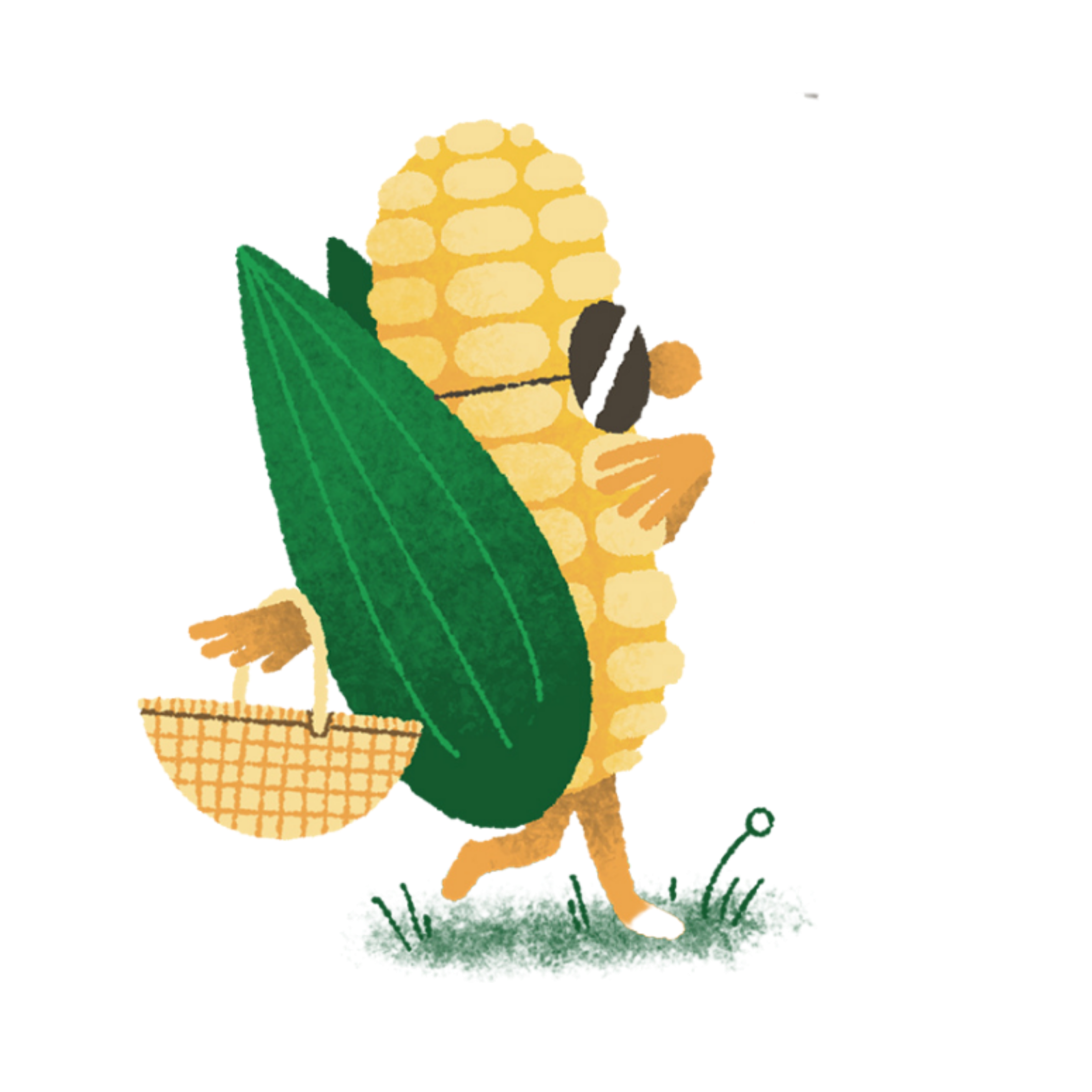 Een afgeplatte, ronde, witte pompoen op de bodem van een moestuin, omringd door groene bladeren en stengels.