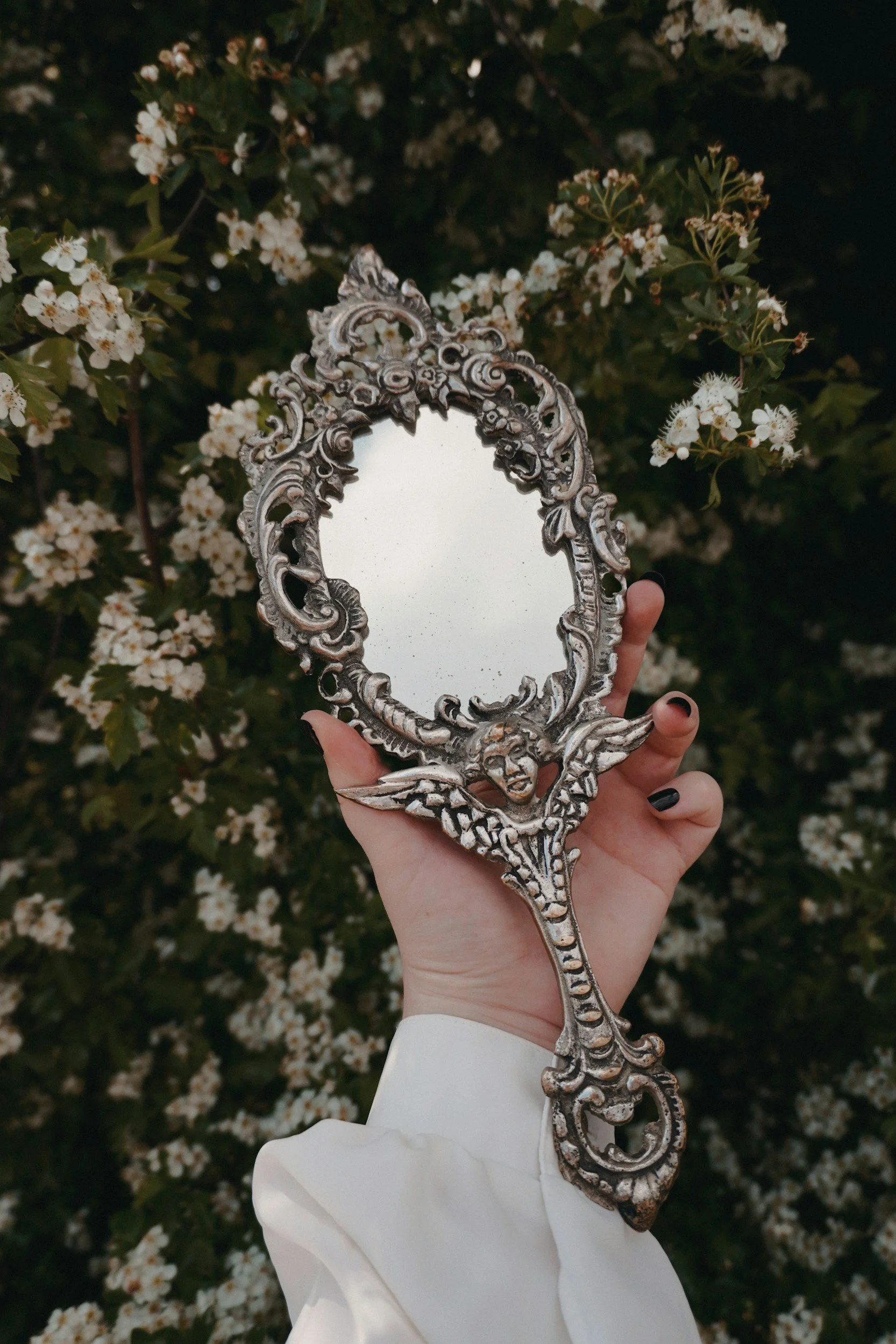 The Magic Mirror: And a potential code to swallowing success