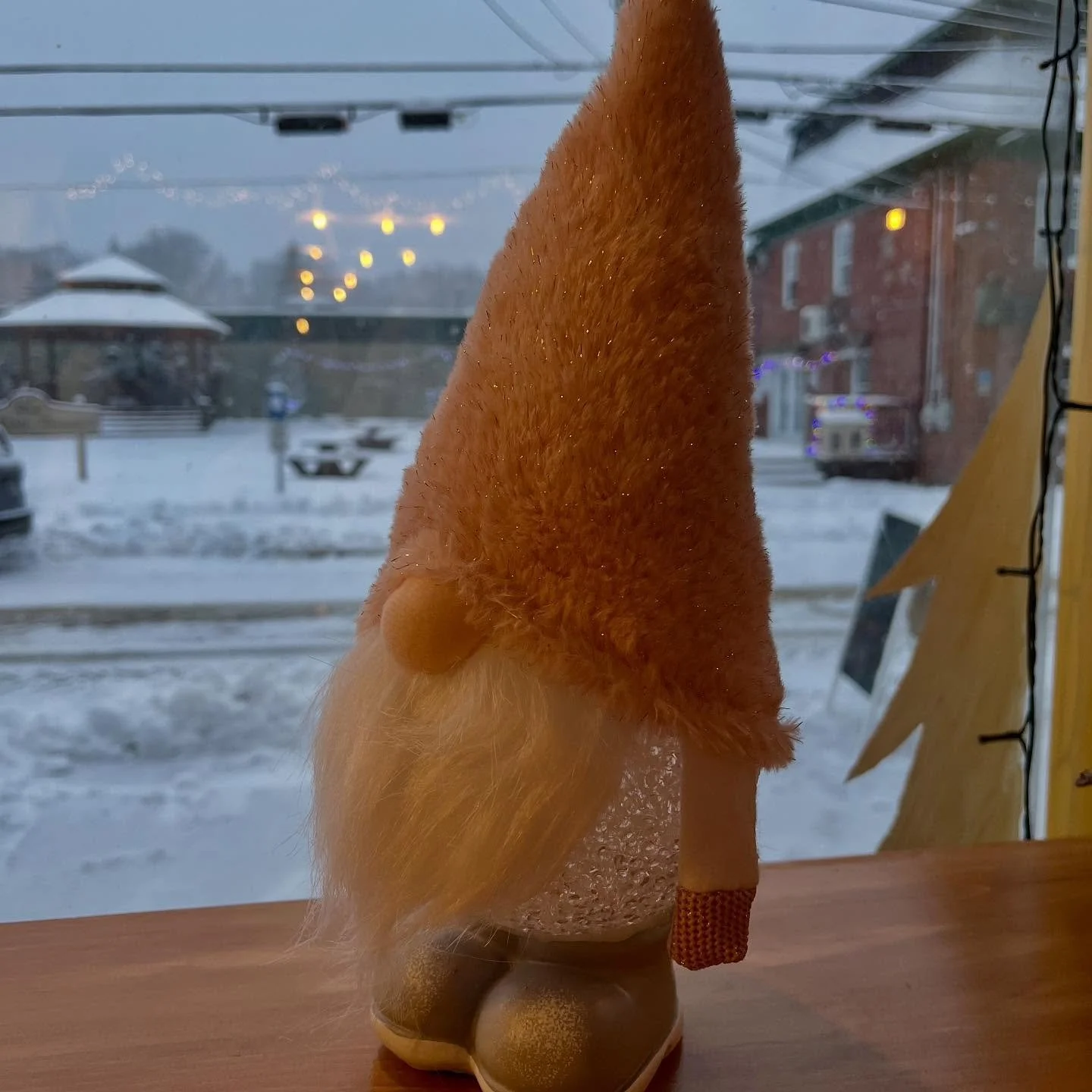 Rien de mieux qu&rsquo;un caf&eacute; et un bon livre pour accompagner cette belle neige qui donne un air de No&euml;l au paysage #cafe #coffee #livresdoccasion #secondhandbooks #richmondqc #valsaintfrancois #lestroisboucs