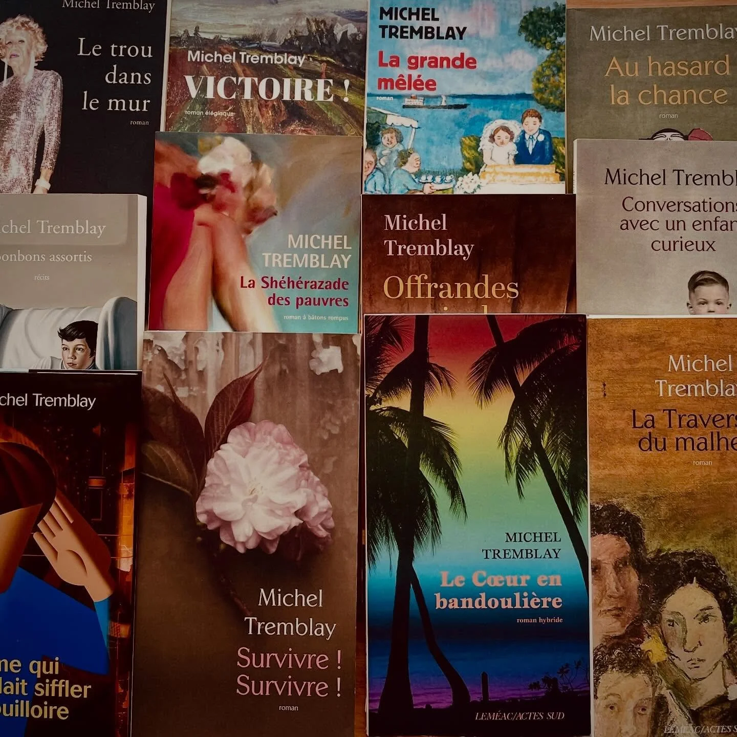 Plusieurs livres se sont ajout&eacute;s sur nos tablettes au cours des derniers jours. Les fans de Michel Tremblay et de Louise Penny sont particuli&egrave;rement choy&eacute;.es 🤍 📚 ☕️ #livresdoccasion #secondhandbooks #cafe #coffee #lestroisboucs