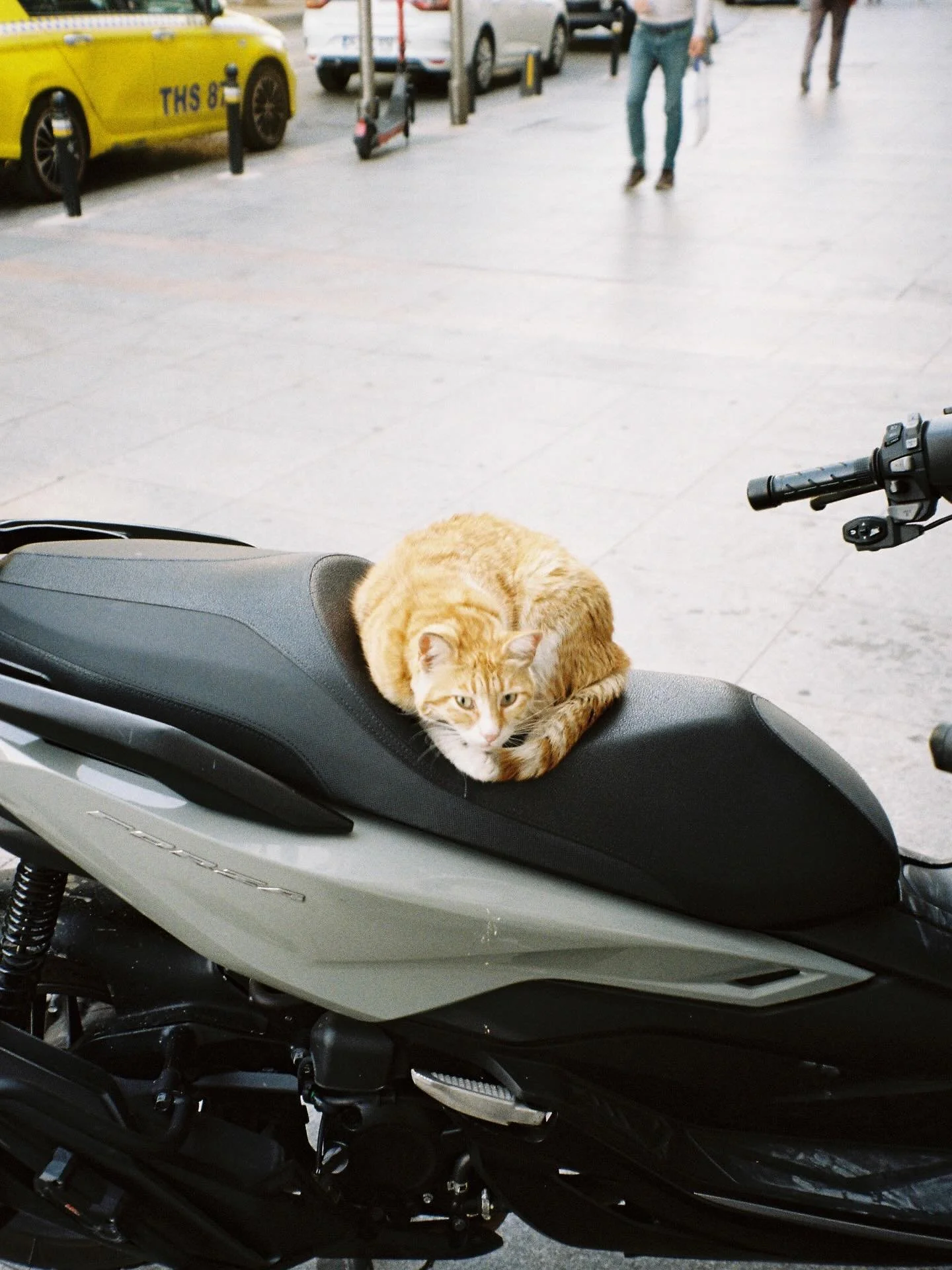 istanbul intergalatic and interesting other things - shot with konica big mini 510z #shotonfilm