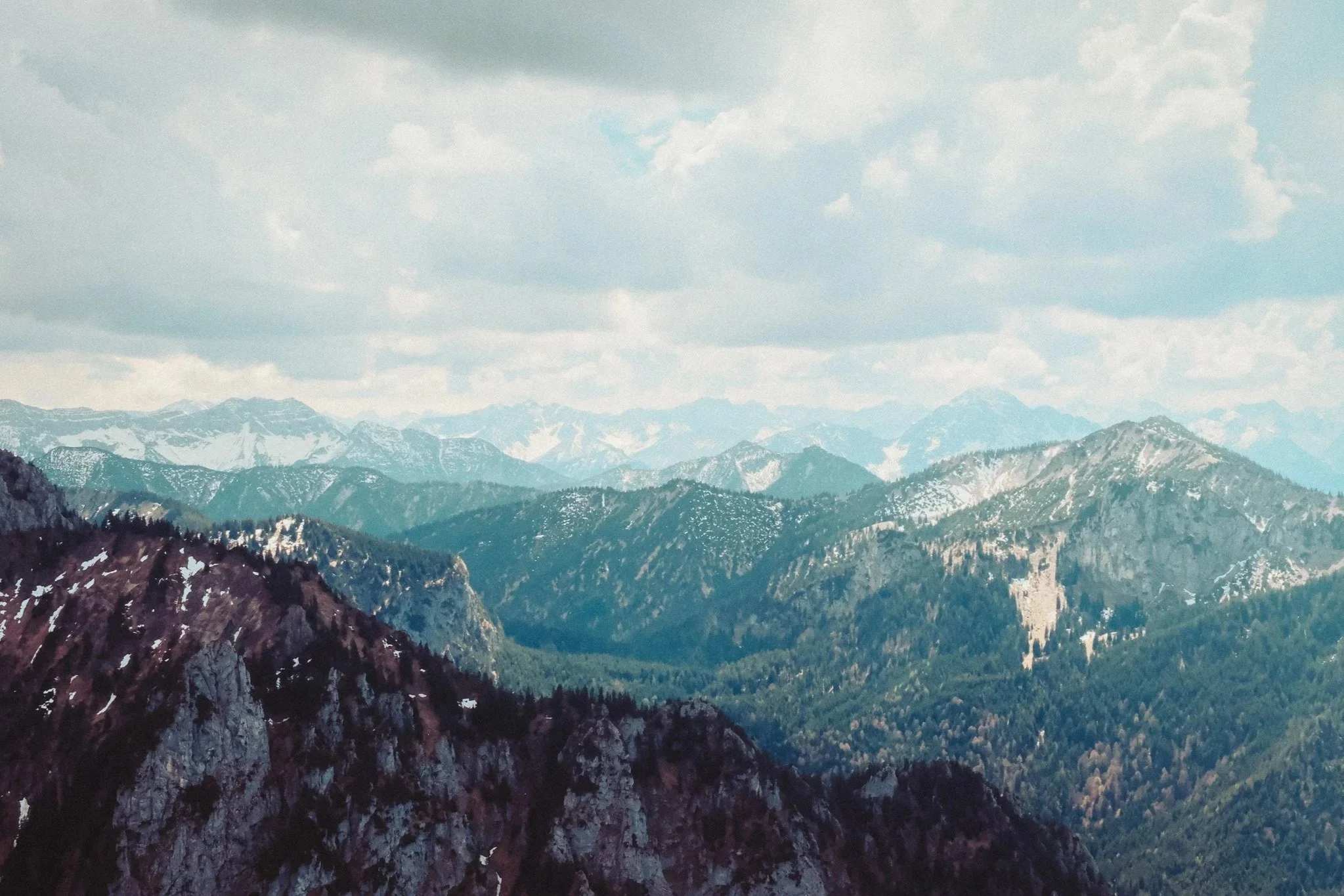 DSCF8613.jpg