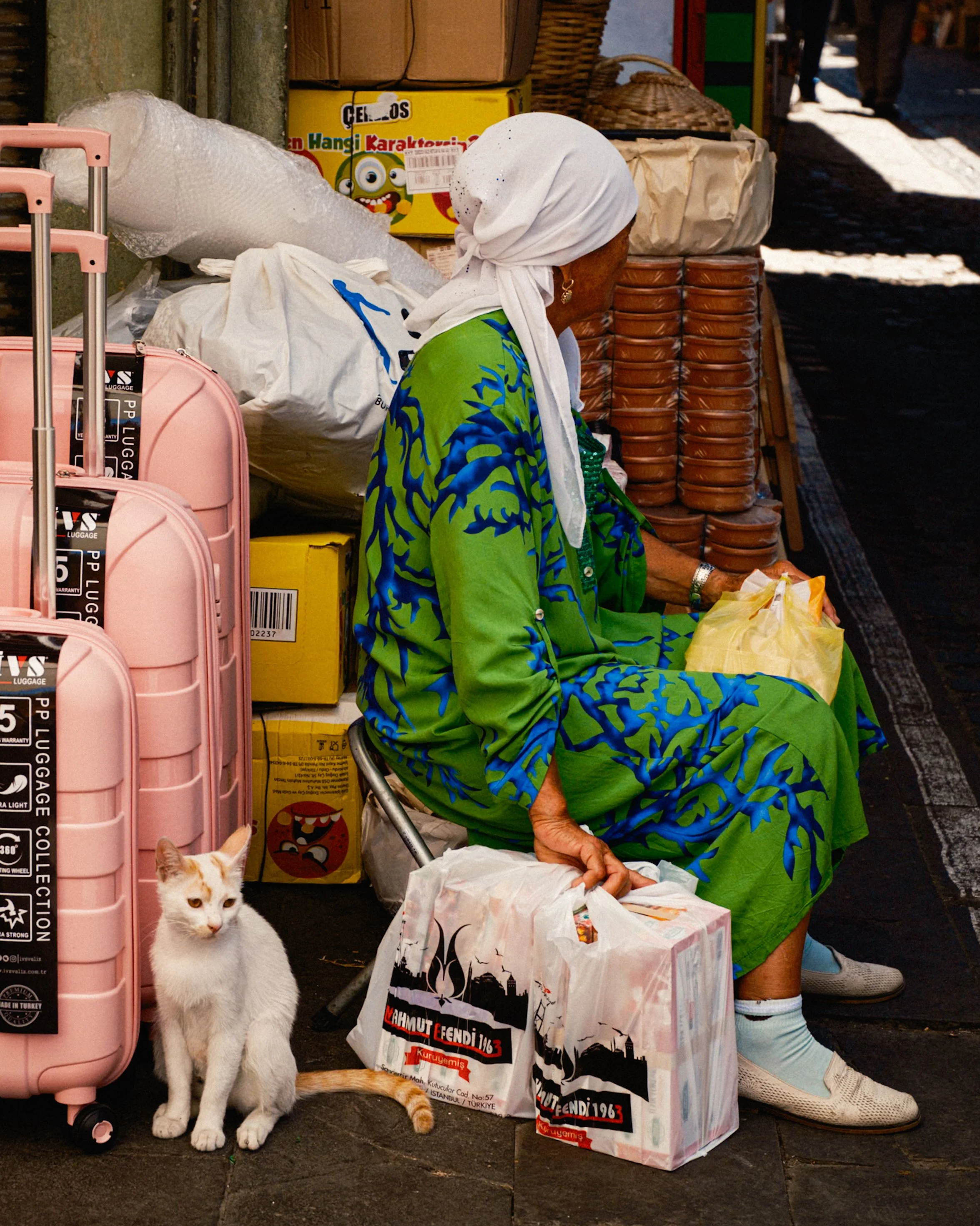 Elderly woman in a bright green dress sitting beside pink suitcases and plastic bags while a white street cat rests next to her in a busy Istanbul market — candid Istanbul street photography capturing everyday life and color.