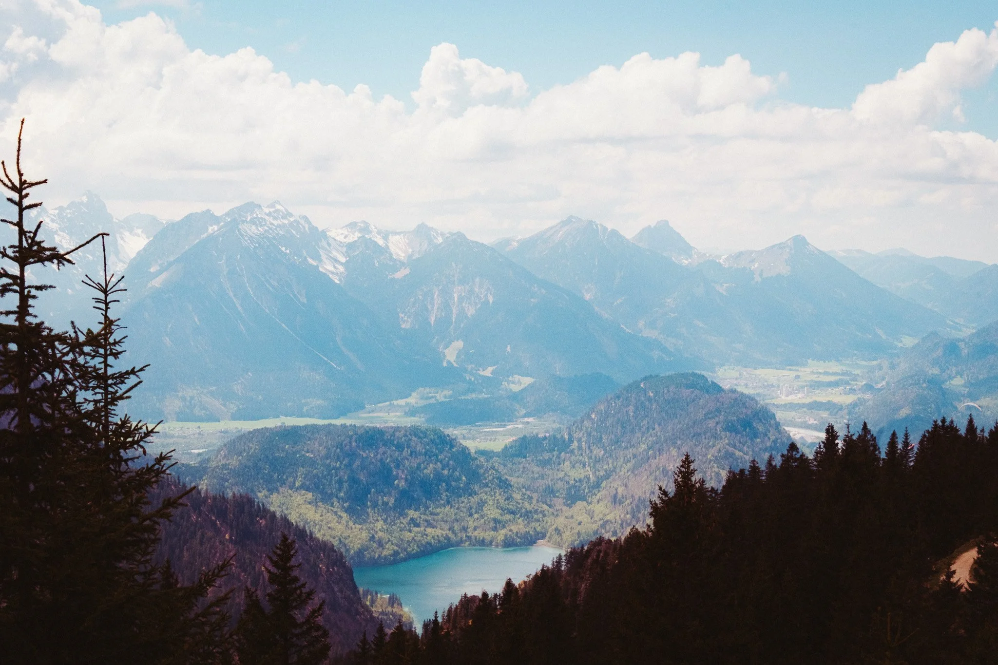 DSCF8579.jpg