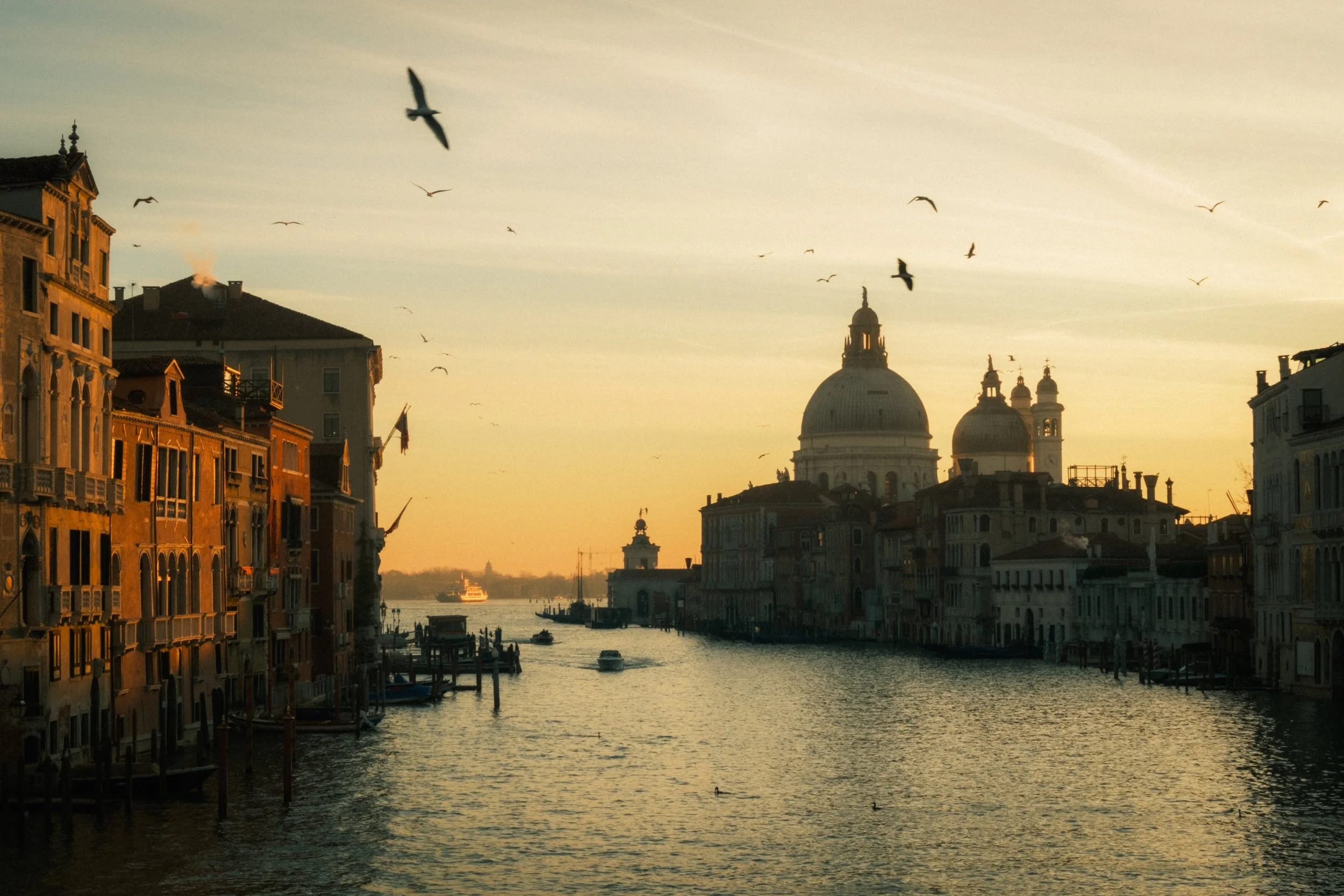 Venice: Light, Water, and the People In Between