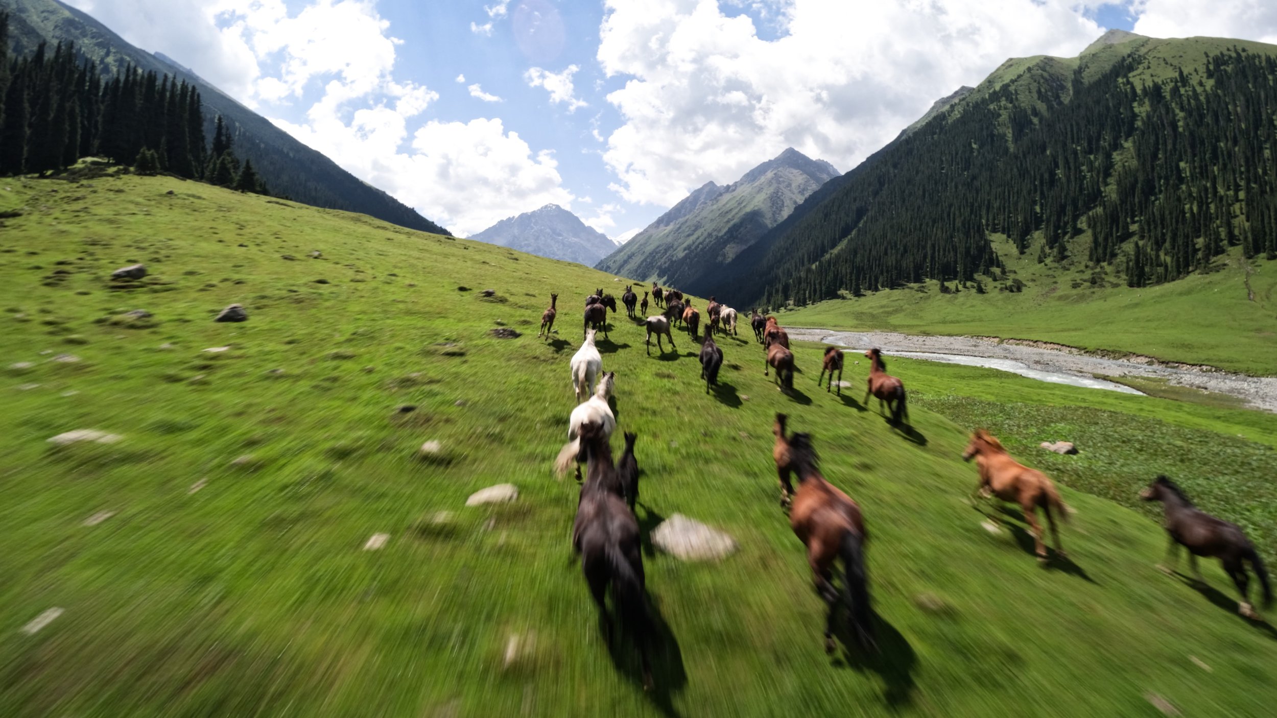 رحلة لملمة شتات ٤ Edit3.00_10_33_04.Still017.jpeg