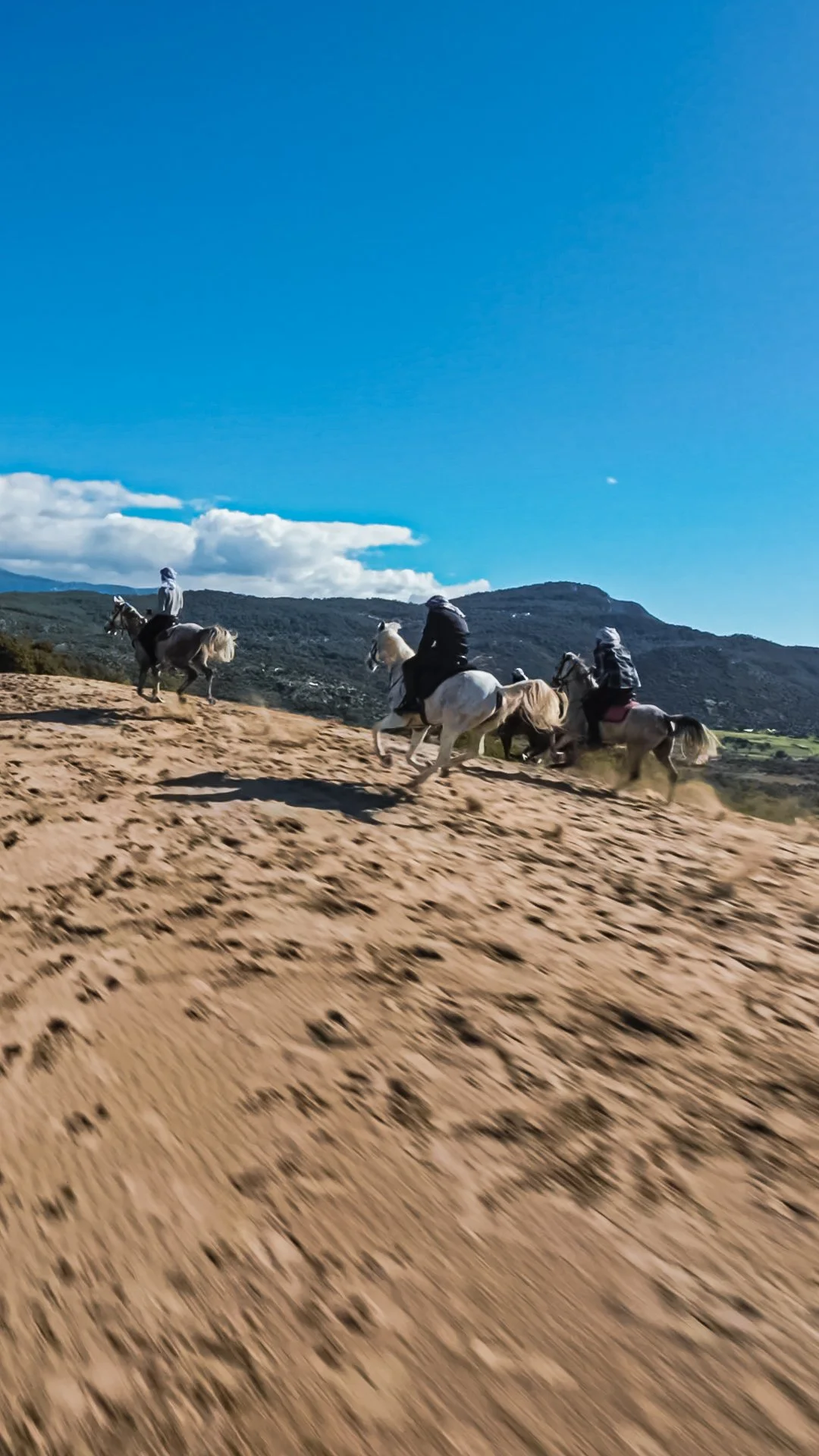 to capture.00_00_00_01.Still002.jpg