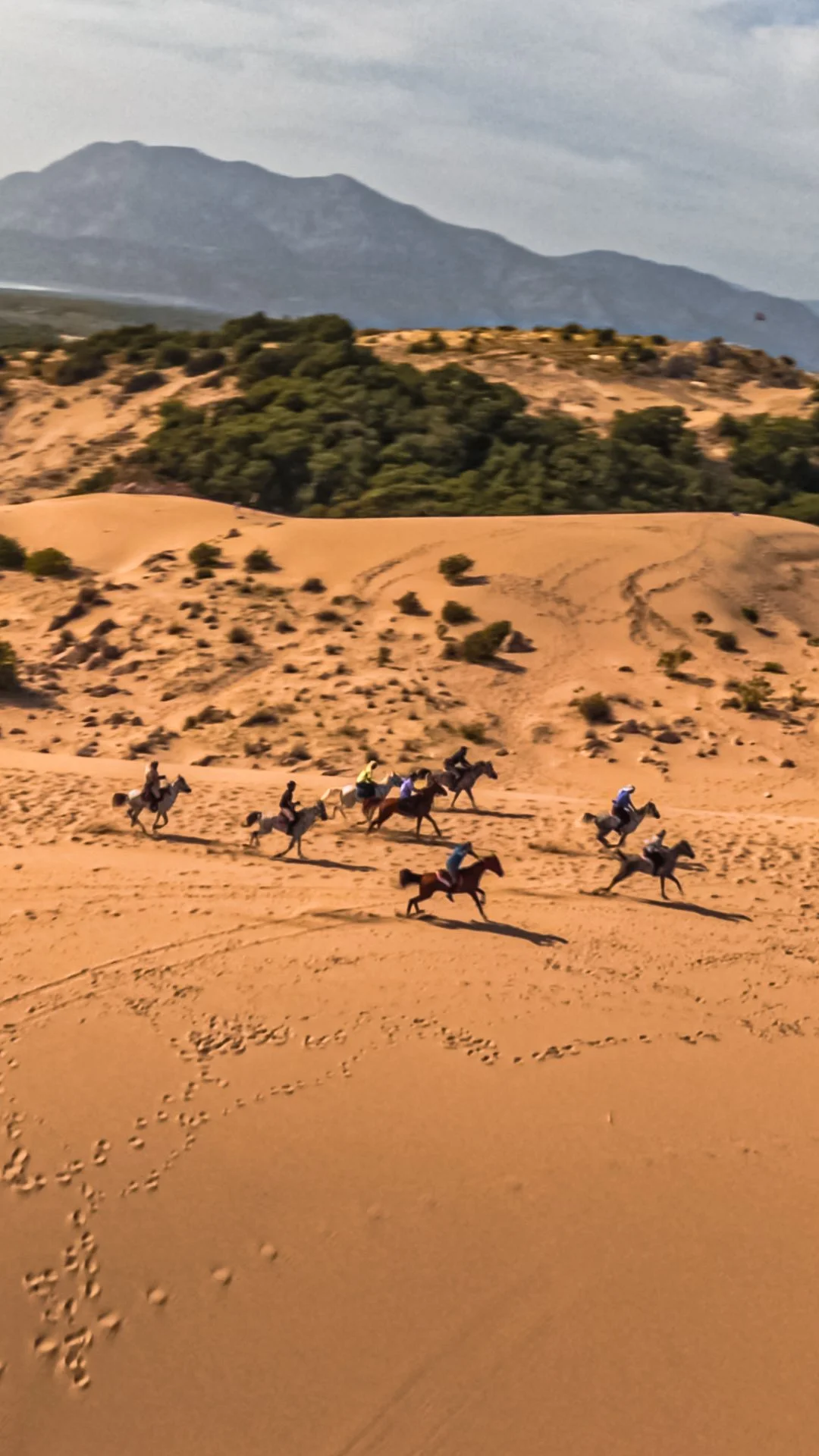 to capture.00_00_00_02.Still003.jpg