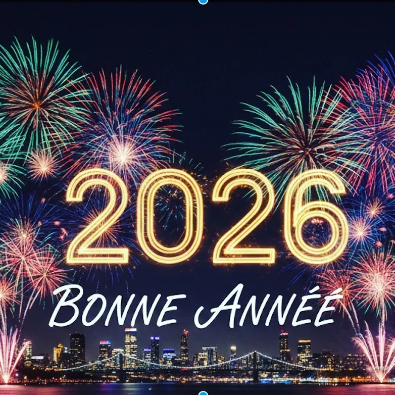 En ce d&eacute;but d&rsquo;ann&eacute;e, je tiens &agrave; vous adresser mes meilleurs voeux et &agrave; vous remercier sinc&egrave;rement de la confiance que vous m&rsquo;avez accord&eacute;e en me confiant vos projets de menuiserie. Faire appel &ag