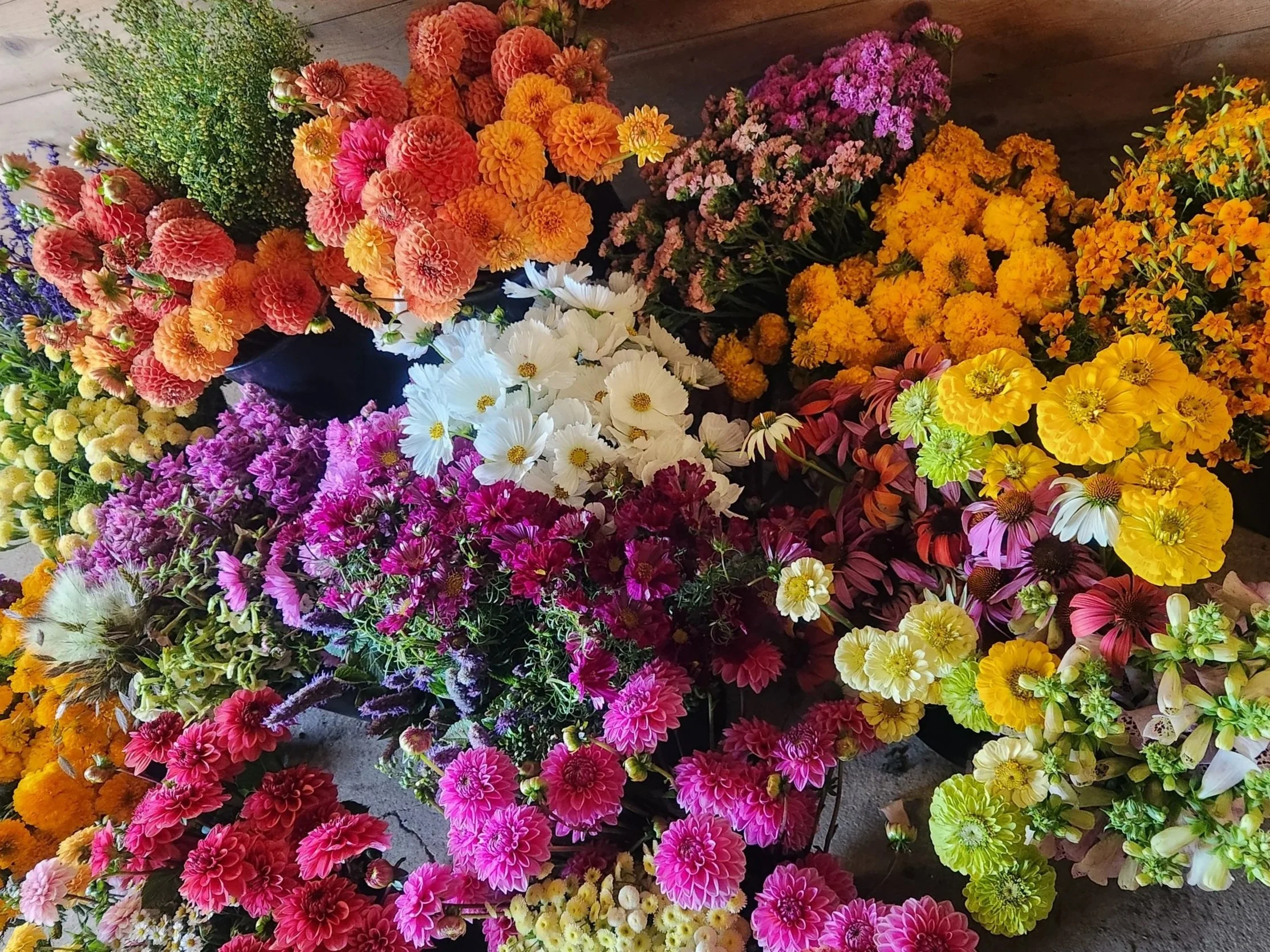 A colorful assortment of various flowers, including dahlias, chrysanthemums, and daisies in shades of pink, orange, yellow, purple, and white, arranged in black containers.