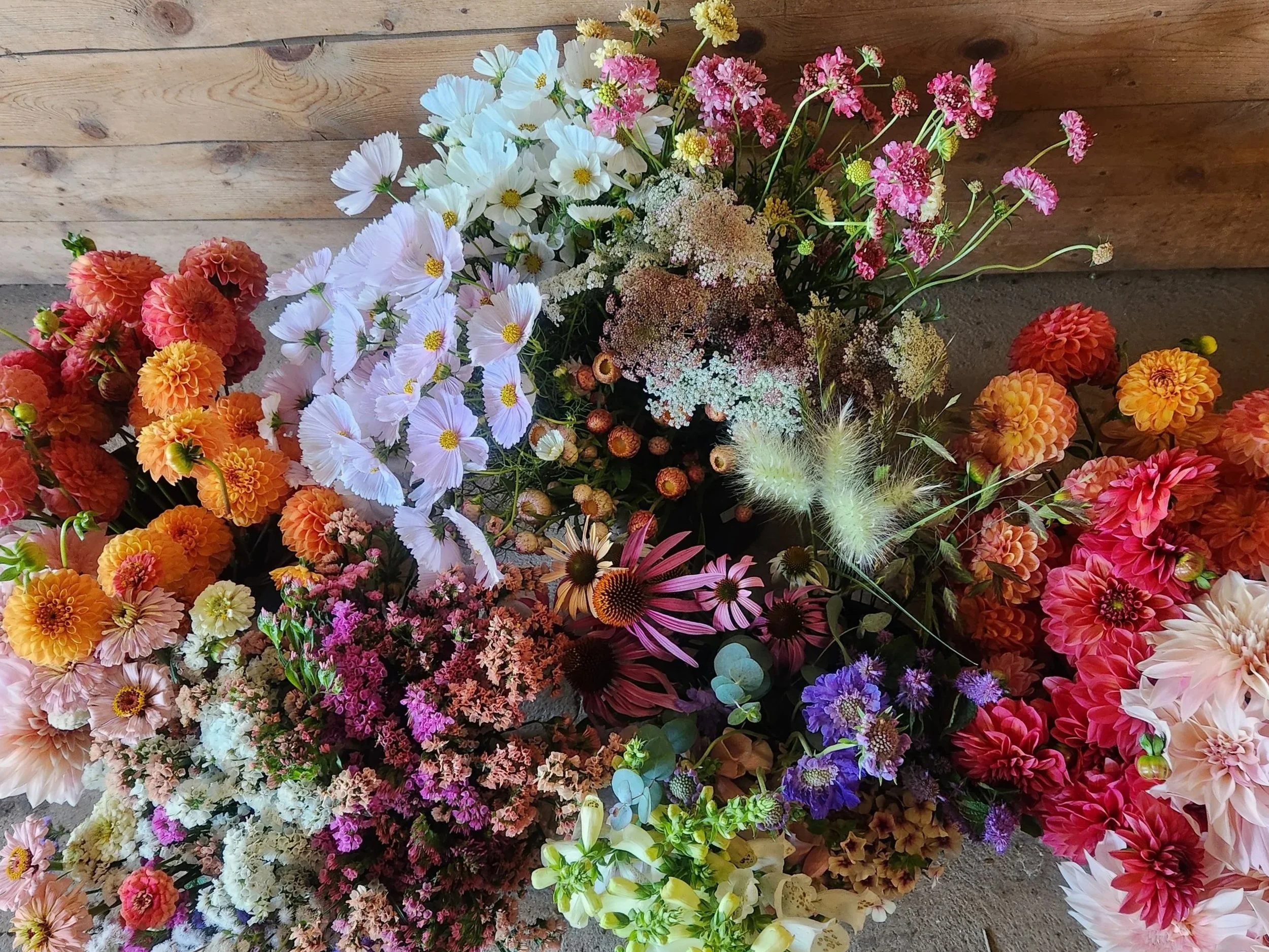 A variety of colorful fresh flowers arranged on a wooden surface.