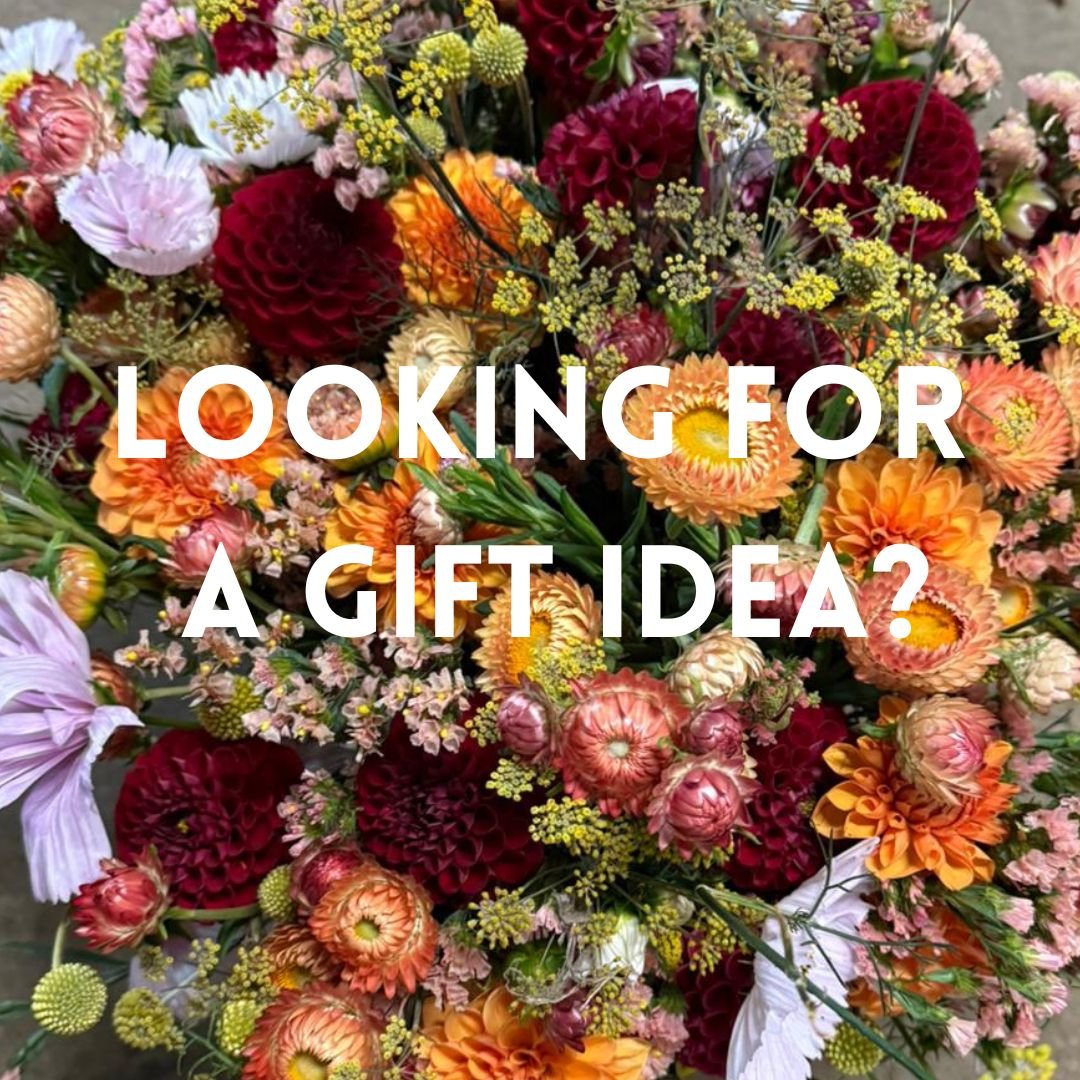 Local flowers are always a great gift for loved ones and yourself!

✂️🌻 PICK-YOUR-OWN CLUB: our pyo flower season starts mid-July and finishes with the first frost (early to mid-October)
📍French Bloom's Field at Robintide Farms

 💐 BOUQUET SUBSCRI