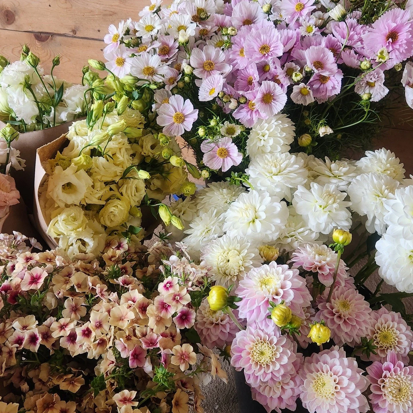 Special Event Buckets
(We cut the flowers, you make the arrangements)

We just love looking back at all the flowers we've cut for your special events this summer. It was an honour to have so many couples trusting us with their wedding flowers this se