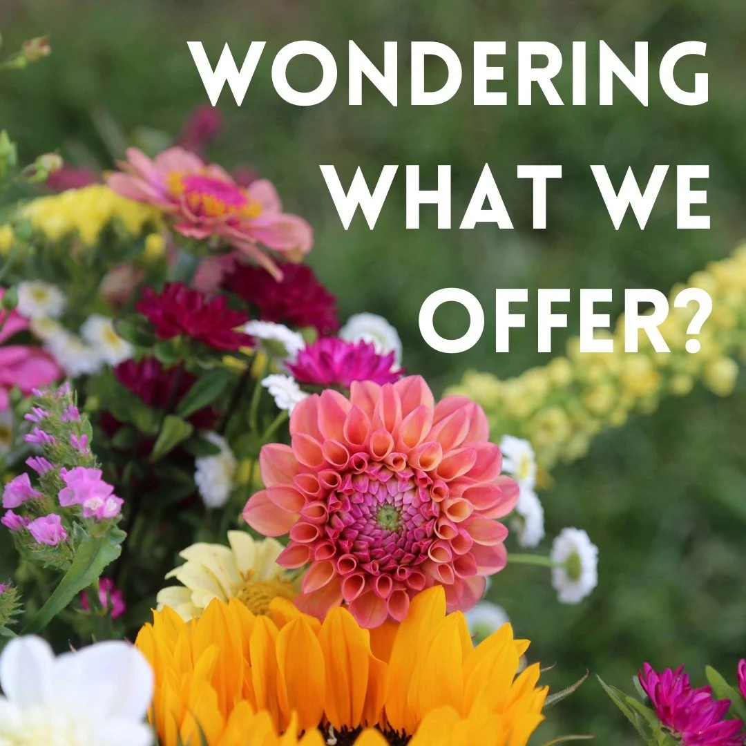 If you recently started following us or if you are curious 👀 to know what we added this year, this post if for you!

If you have any questions, drop them below ⬇️

📸 by zoso36