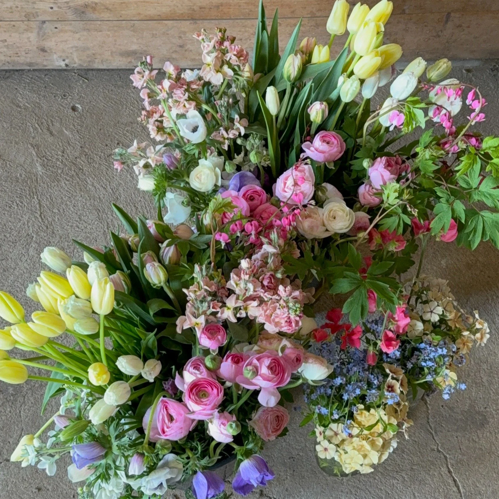 Have a special event coming up?
Want some beautiful local blooms to add to the decor?
Love to be creative and use your hands?

Back again for the 2026 season, our DIY buckets are a great way to access local blooms more affordably and flex your creati