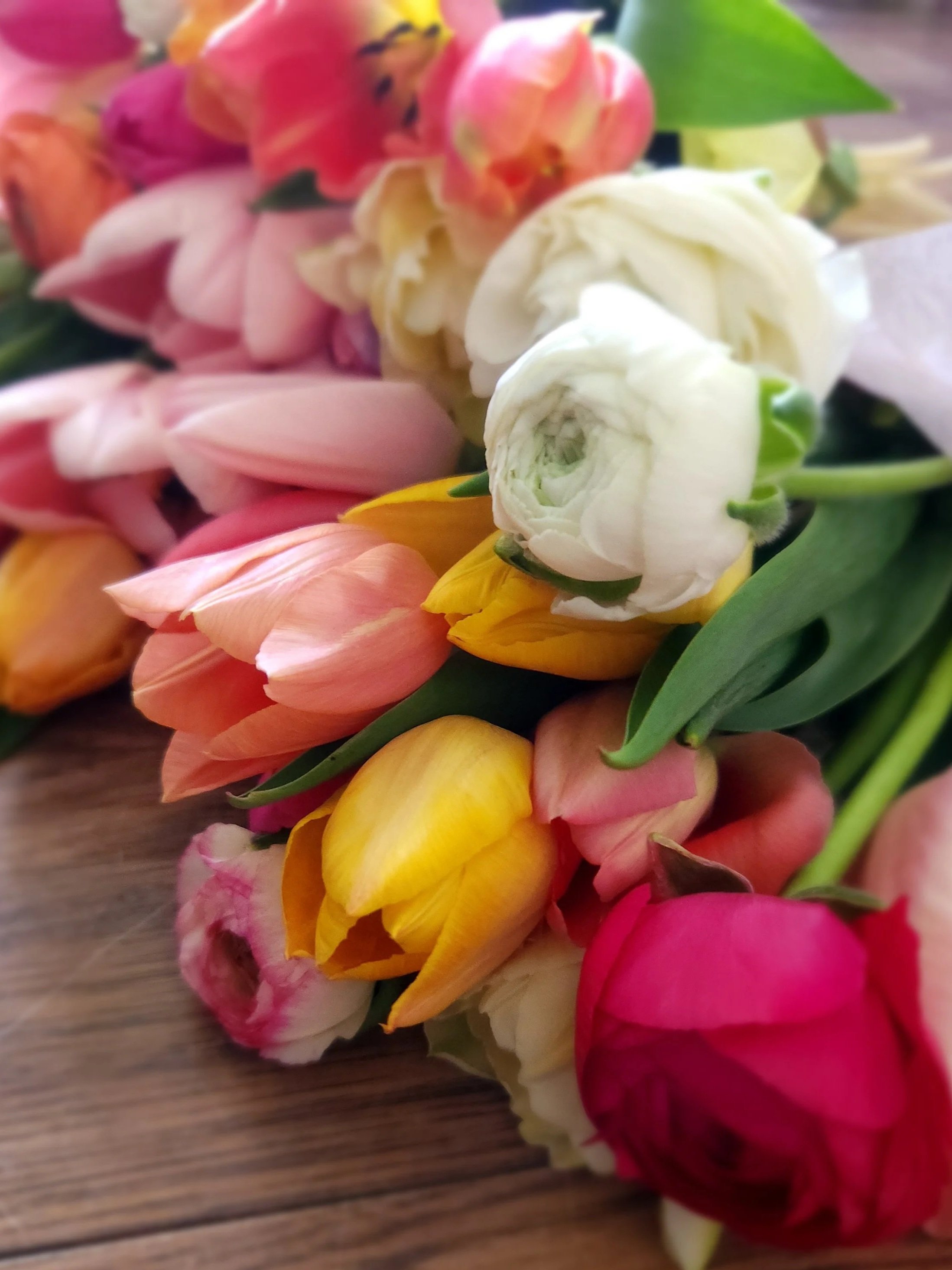 20250430_173920+%281%29.jpg (Copy) (Copy)