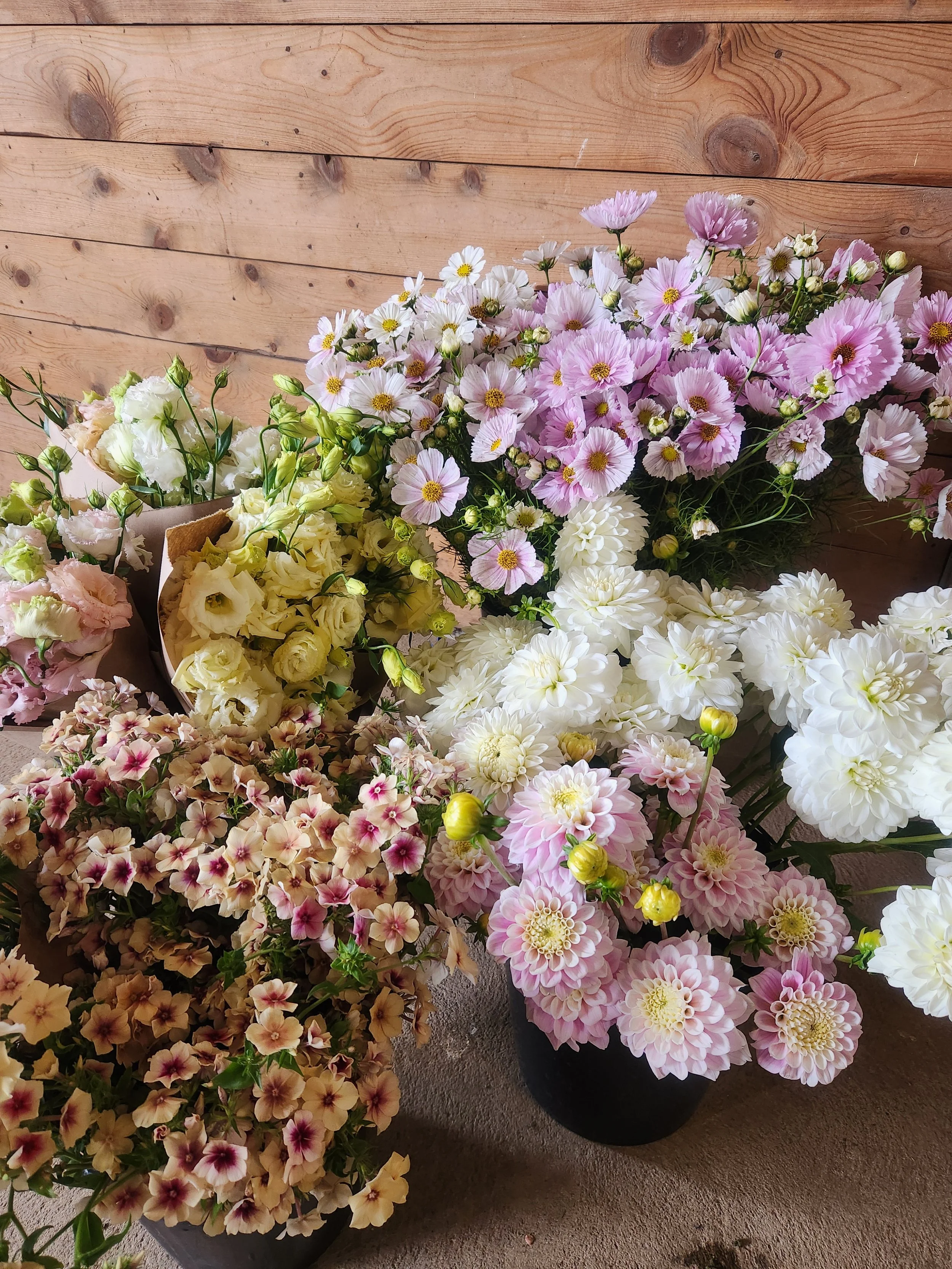 Special Event Buckets