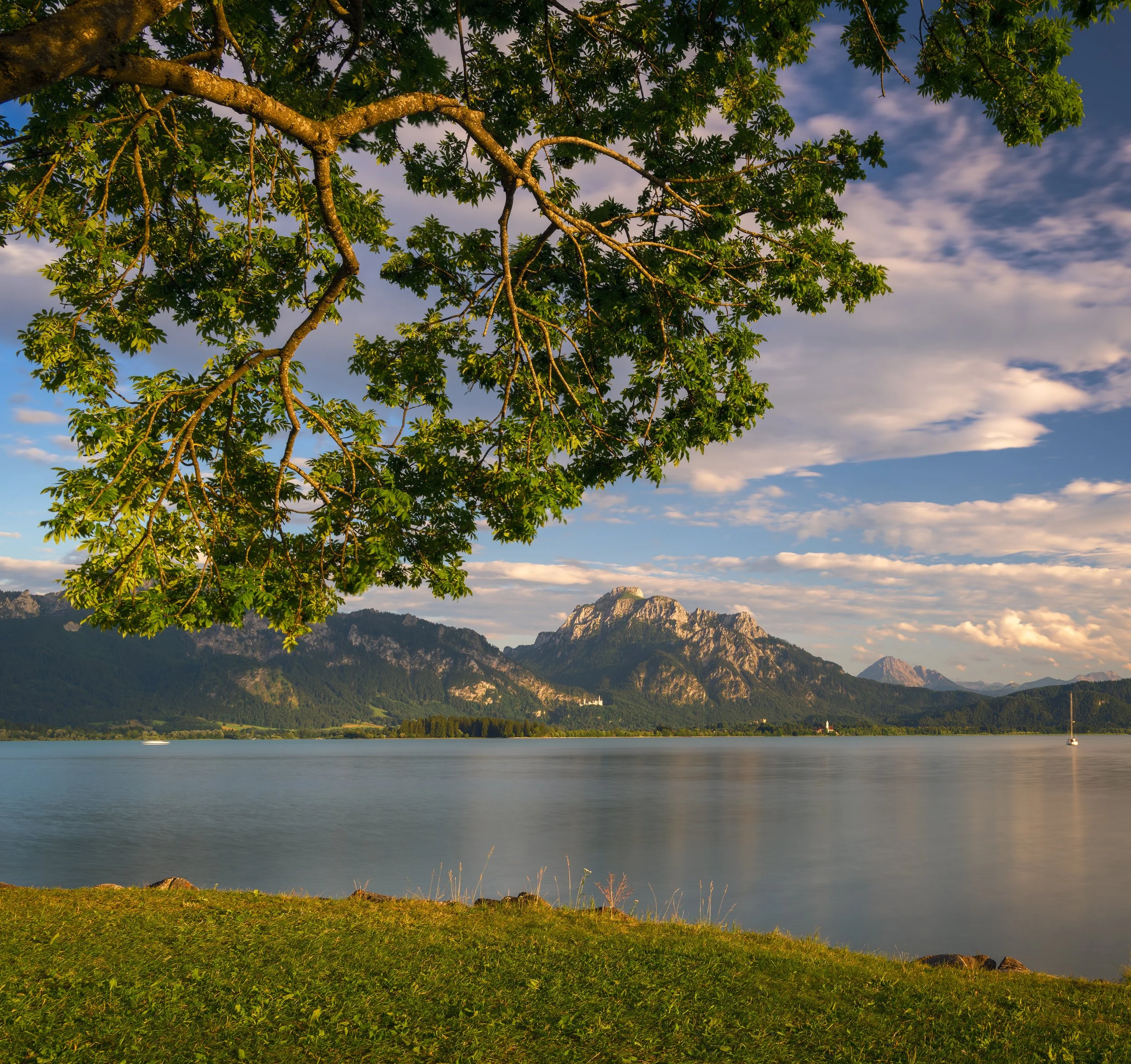 _ACR5444-DxO_DeepPRIME XD2s_XD.jpg