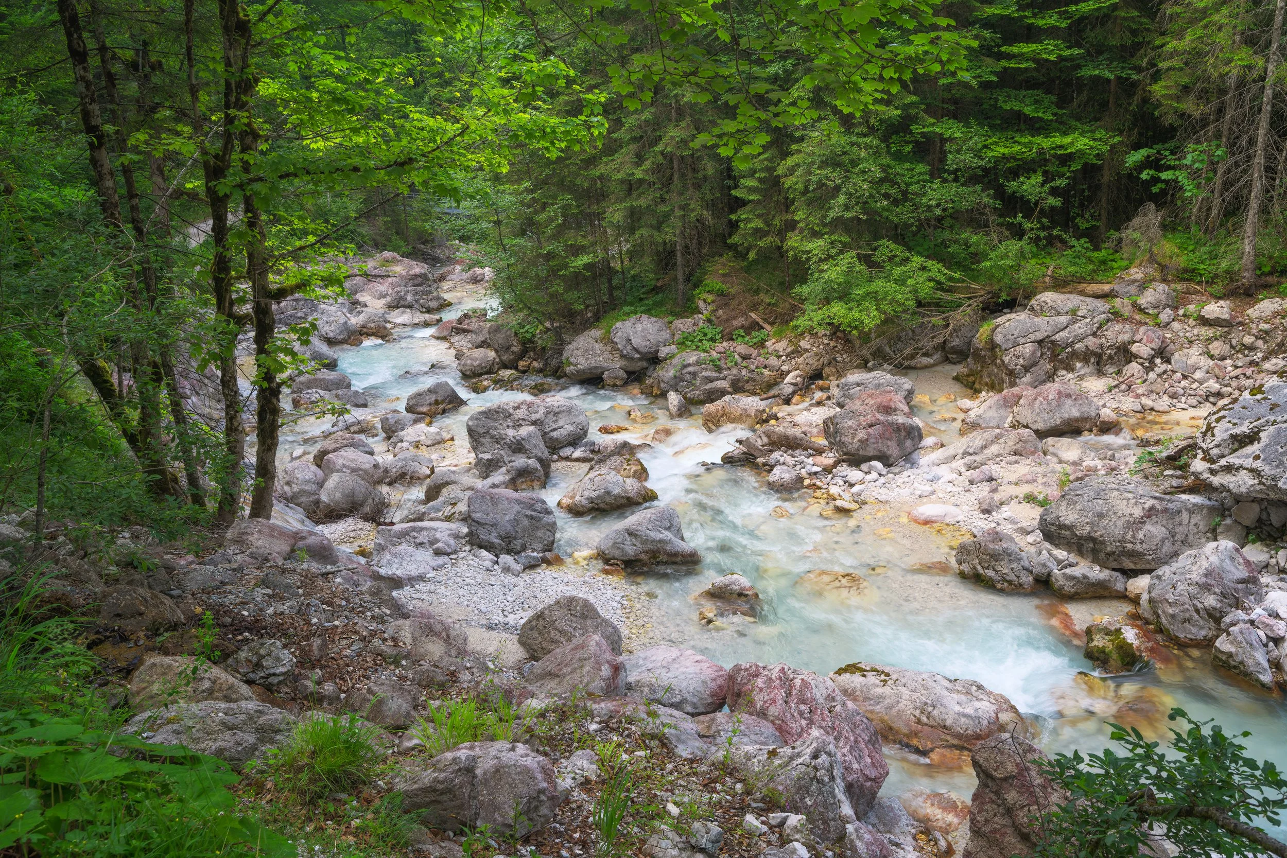 _ACR5202-DxO_DeepPRIME XD2s_XD.jpg