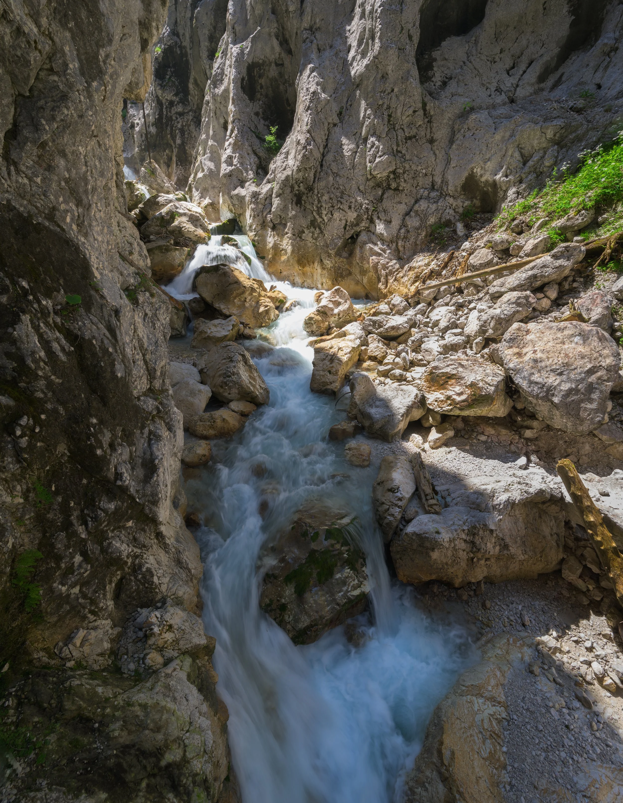 _ACR4849-DxO_DeepPRIME XD2s_XD.jpg