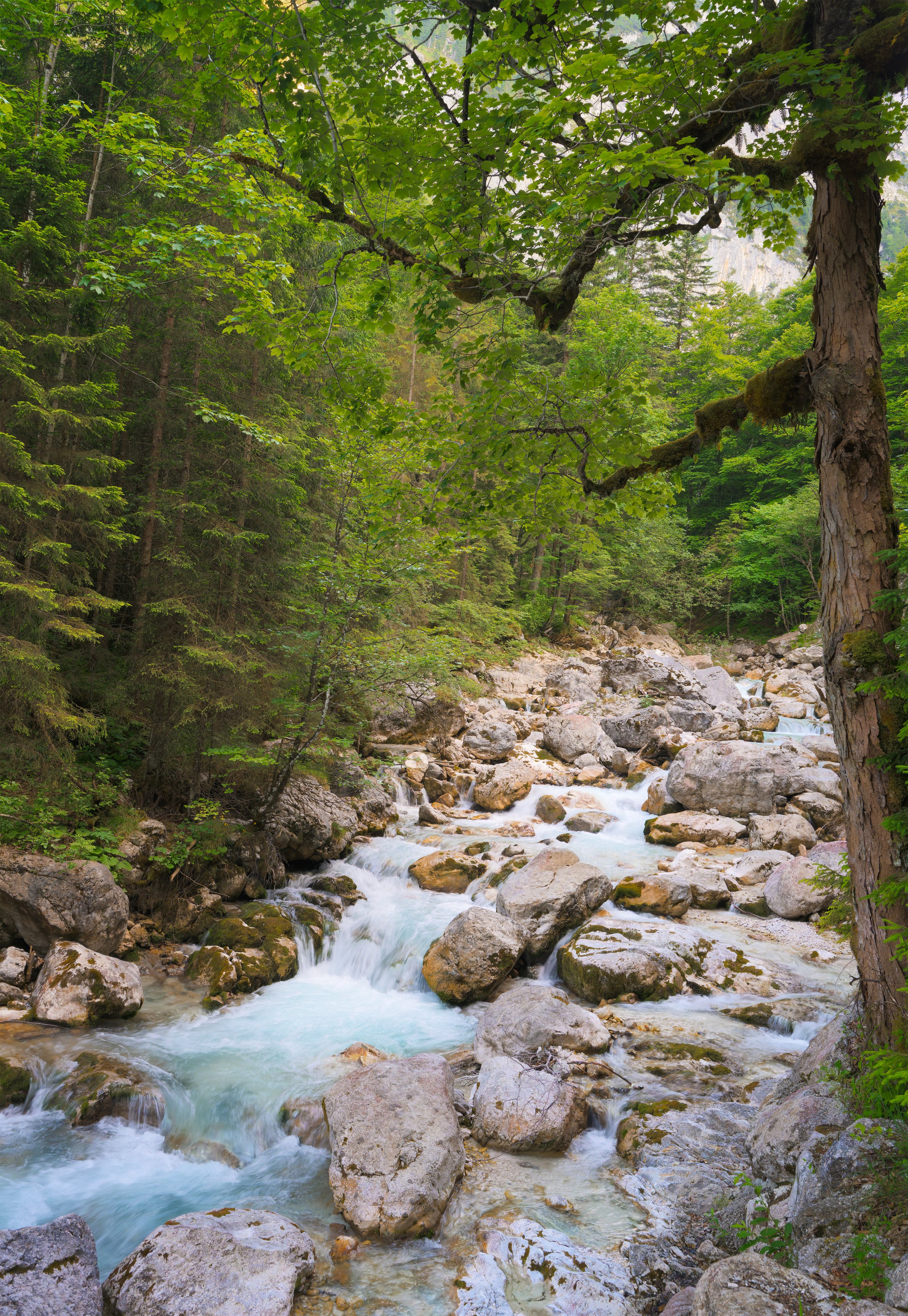 _ACR5223-DxO_DeepPRIME XD2s_XD.jpg