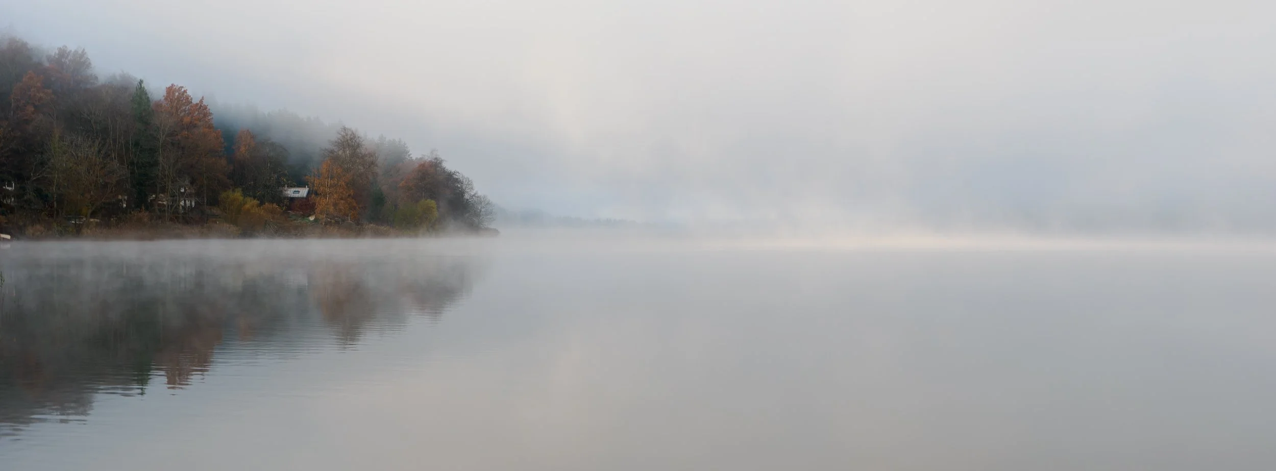 _B082586-DxO_DeepPRIME XD2s_XD.jpg