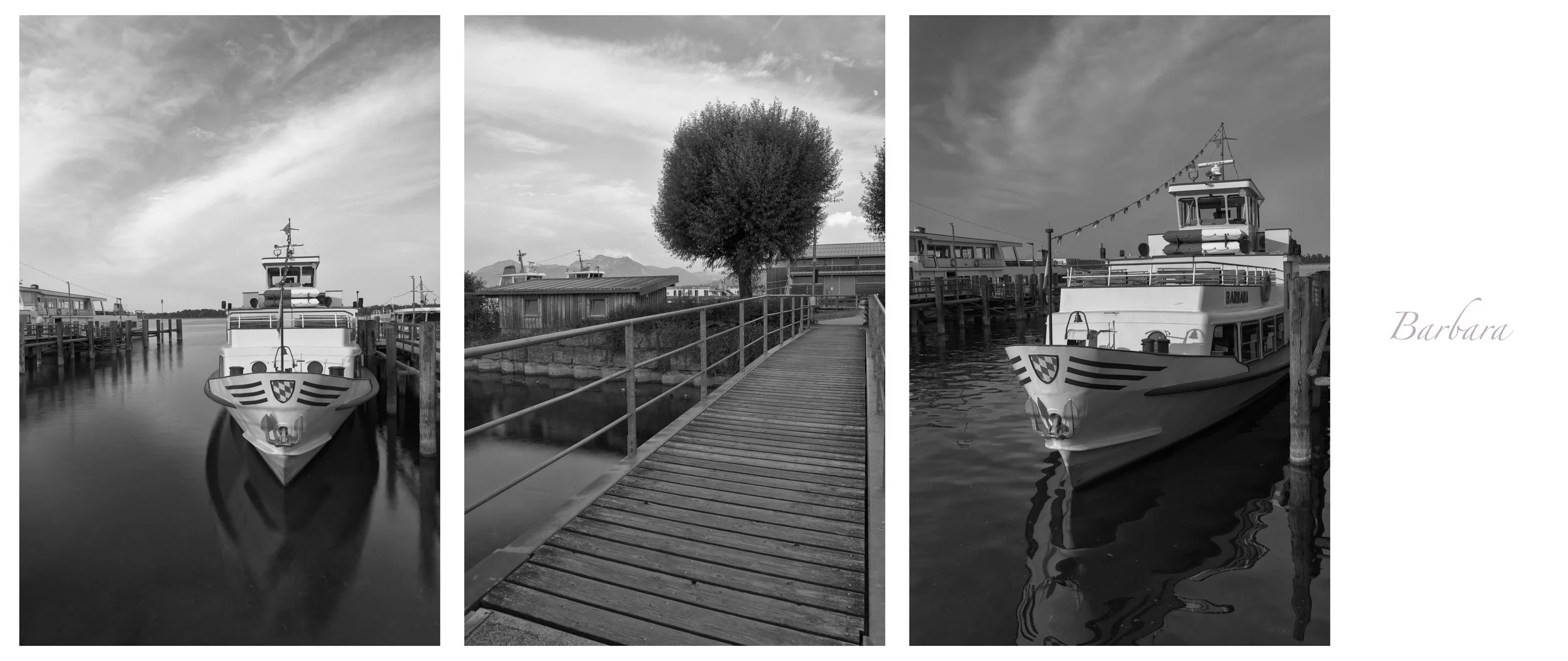 _ACR5367-DxO_DeepPRIME XD2s_XD.jpg