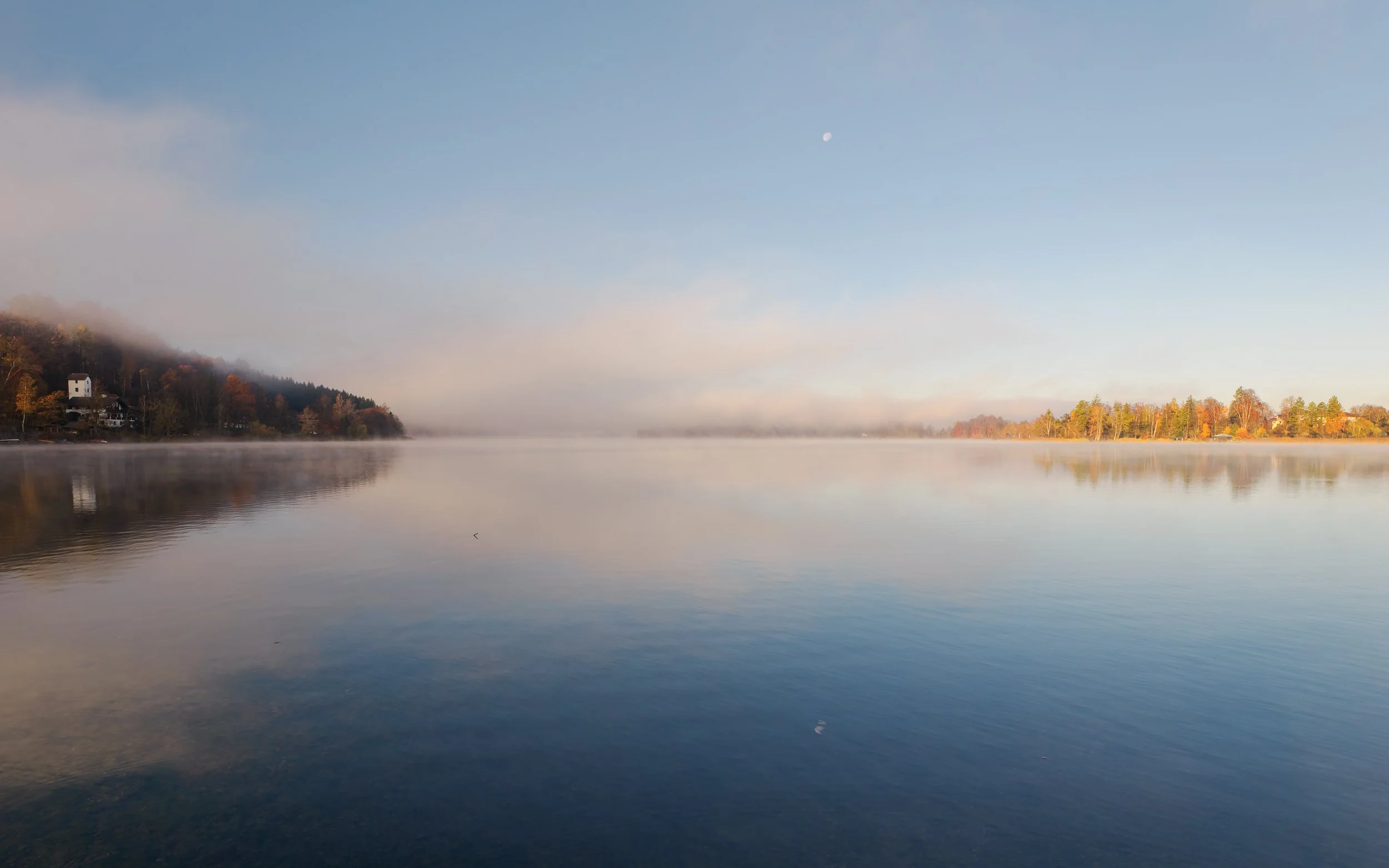 _B082644-DxO_DeepPRIME XD2s_XD.jpg