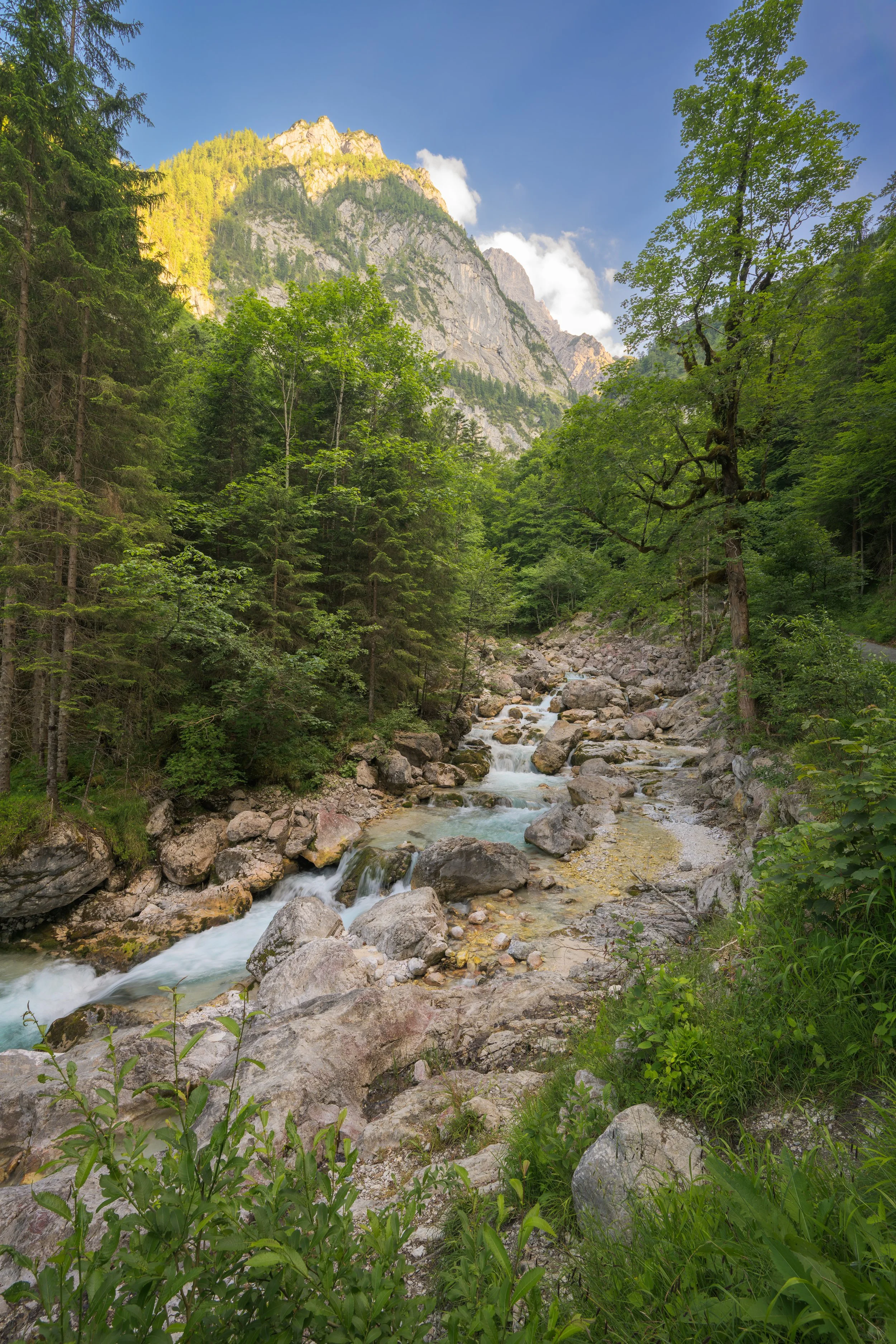 _ACR5231-DxO_DeepPRIME XD2s_XD.jpg