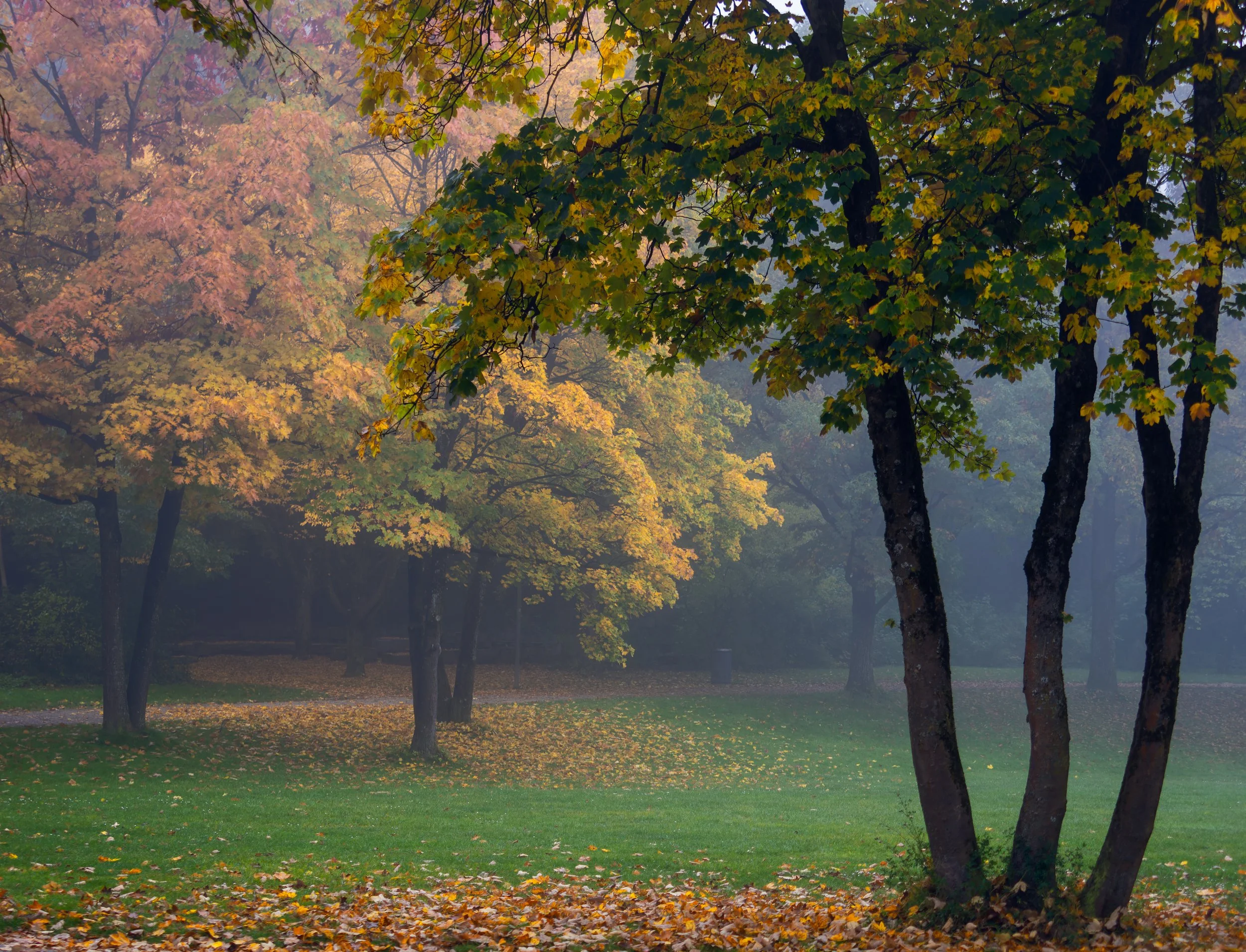 _A160985-DxO_DeepPRIME XD2s_XD.jpg