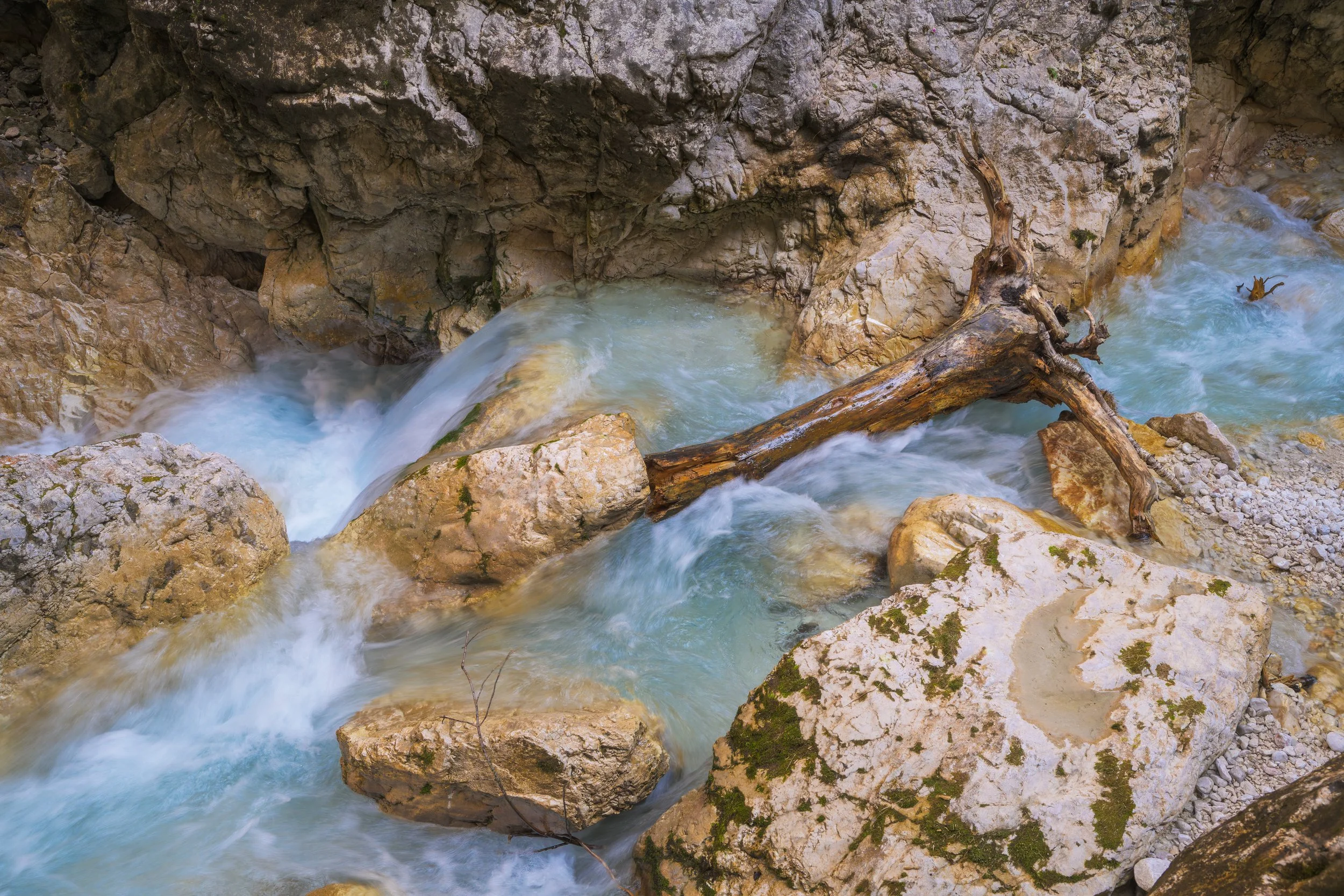 _ACR4884-DxO_DeepPRIME XD2s_XD.jpg