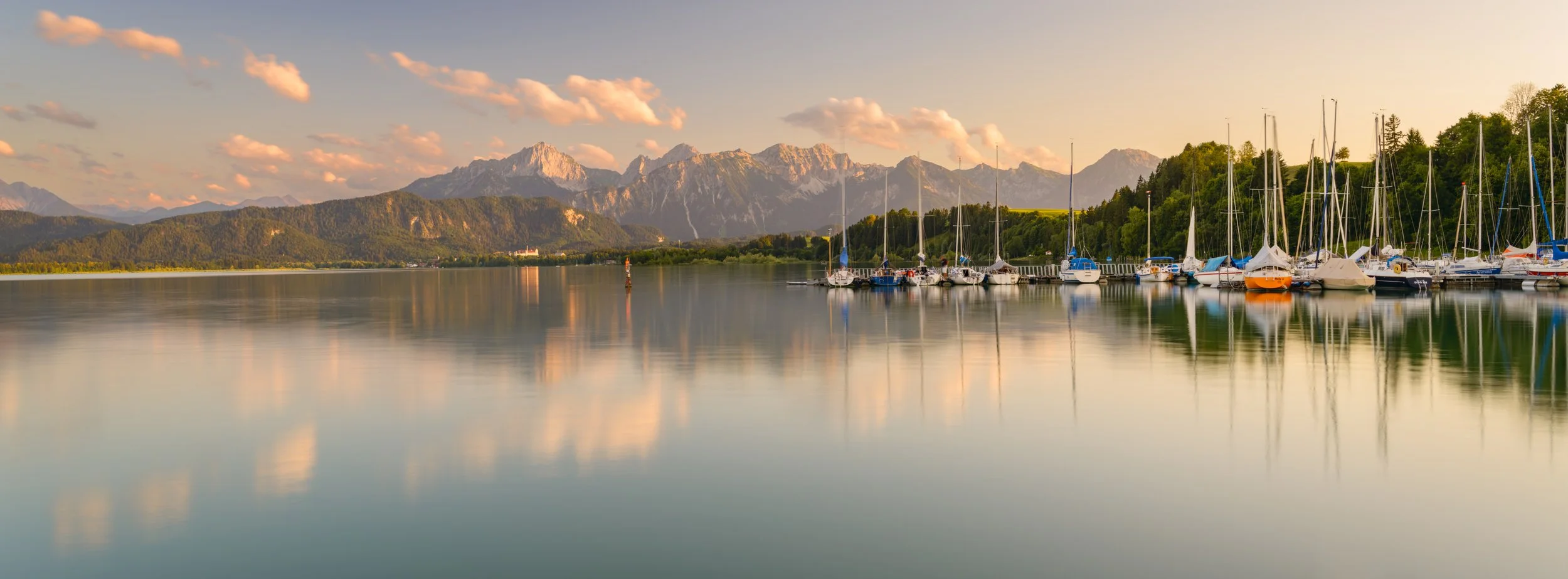 _ACR5483-DxO_DeepPRIME XD2s_XD.jpg