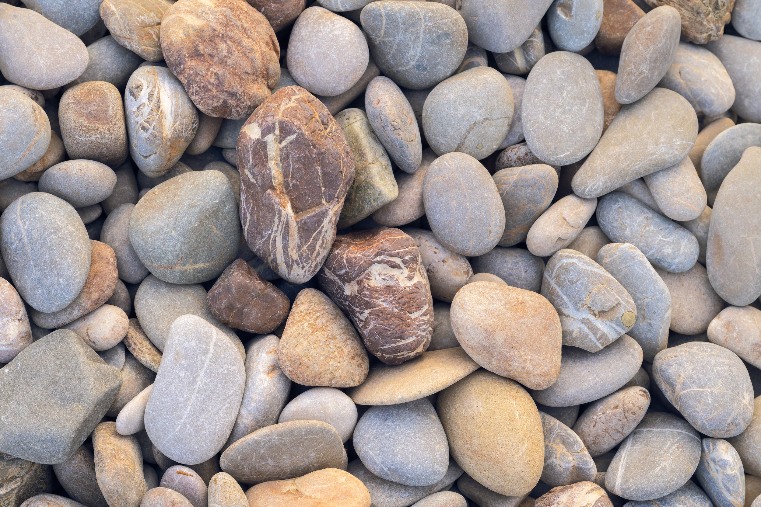 _ACR4788-DxO_DeepPRIME XD2s_XD.jpg