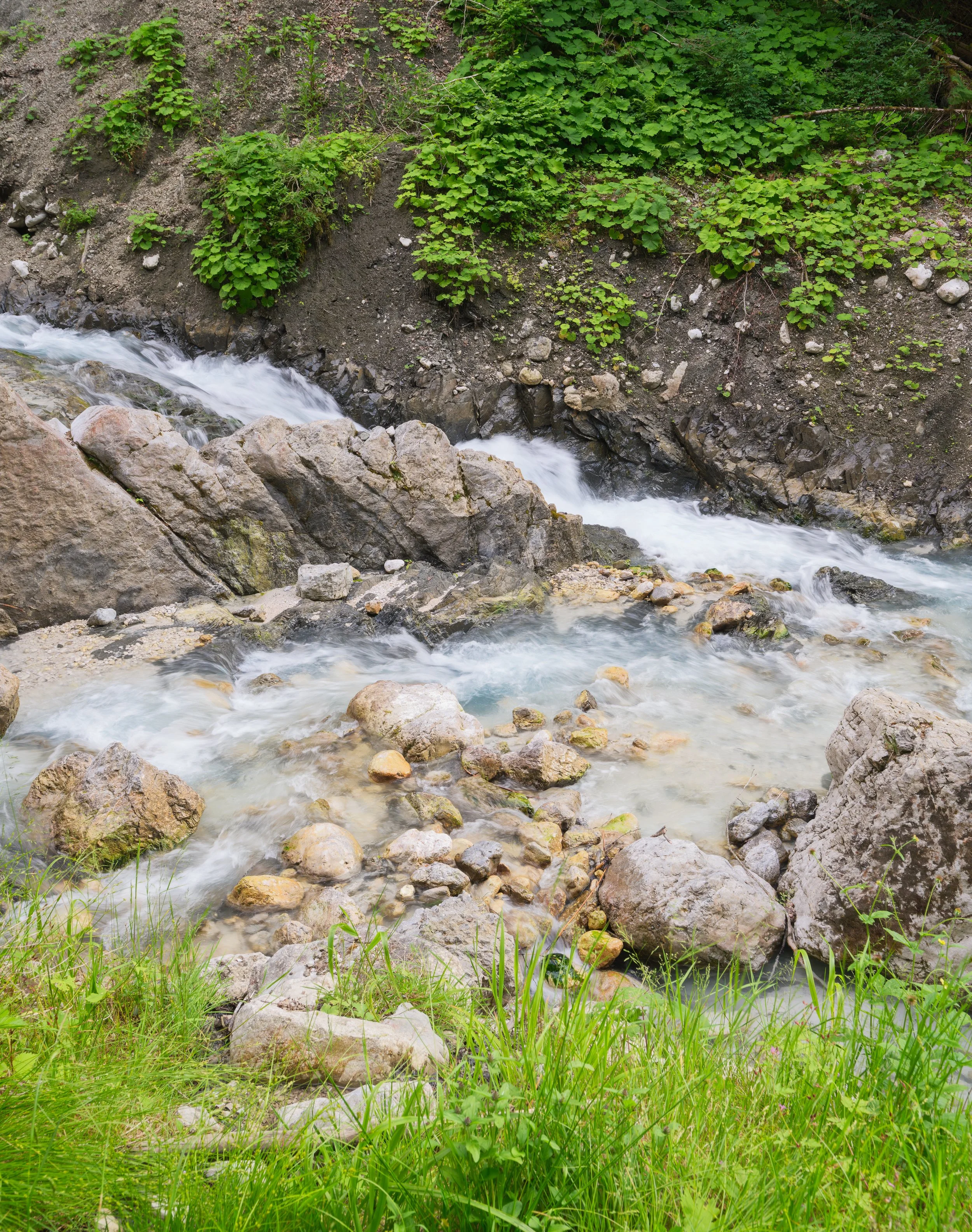 _ACR5298-DxO_DeepPRIME XD2s_XD.jpg