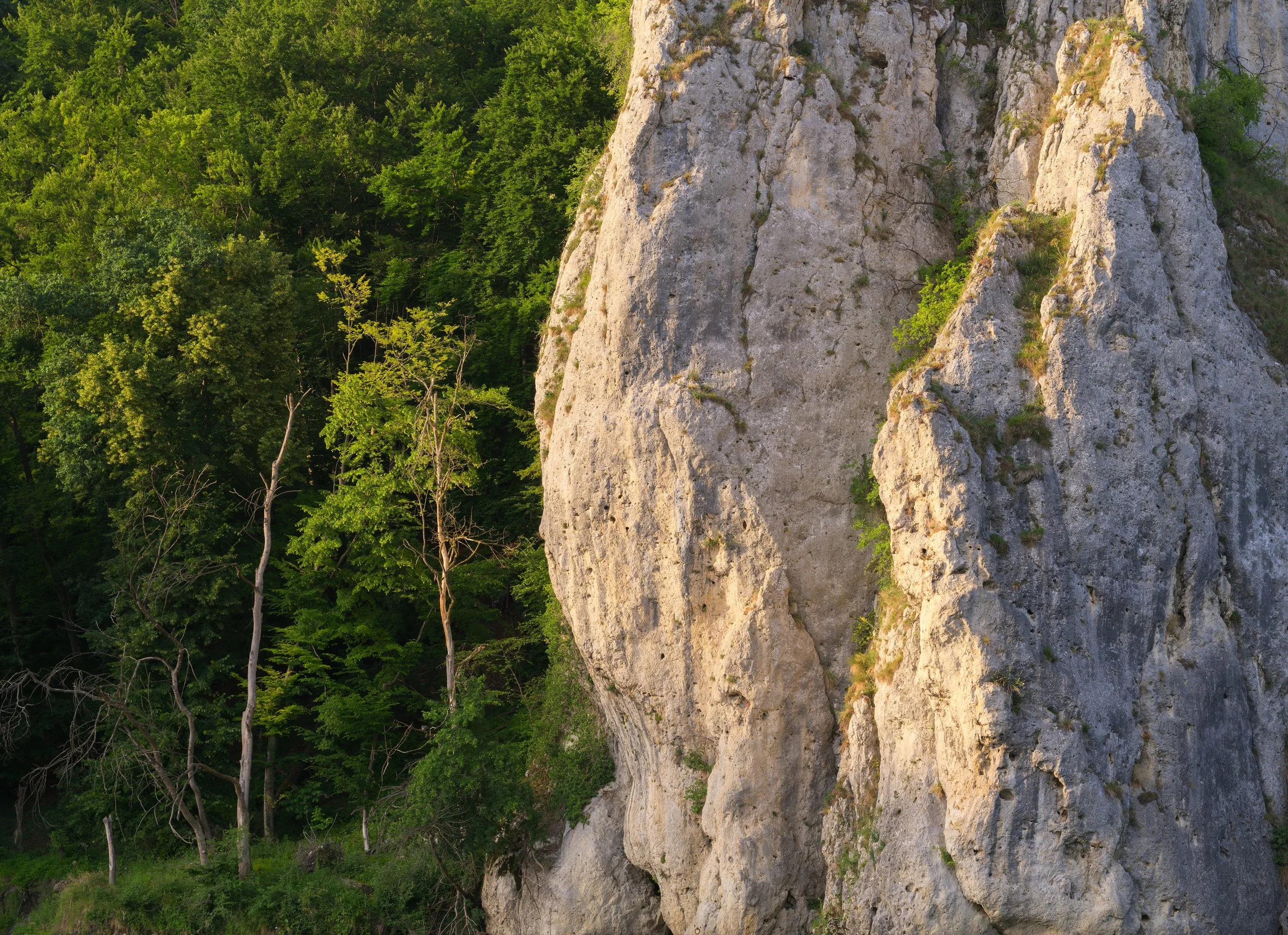 _ACR4778-DxO_DeepPRIME XD2s_XD.jpg