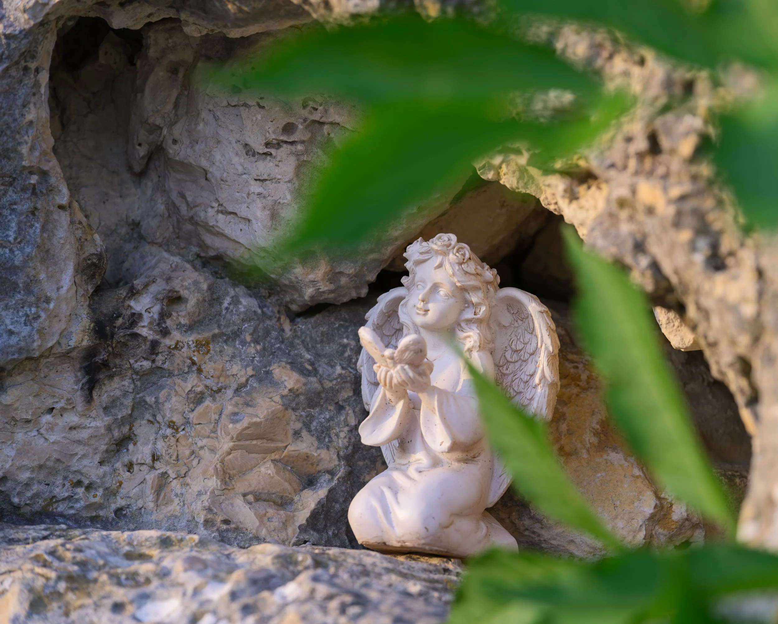 _ACR4801-DxO_DeepPRIME XD2s_XD.jpg