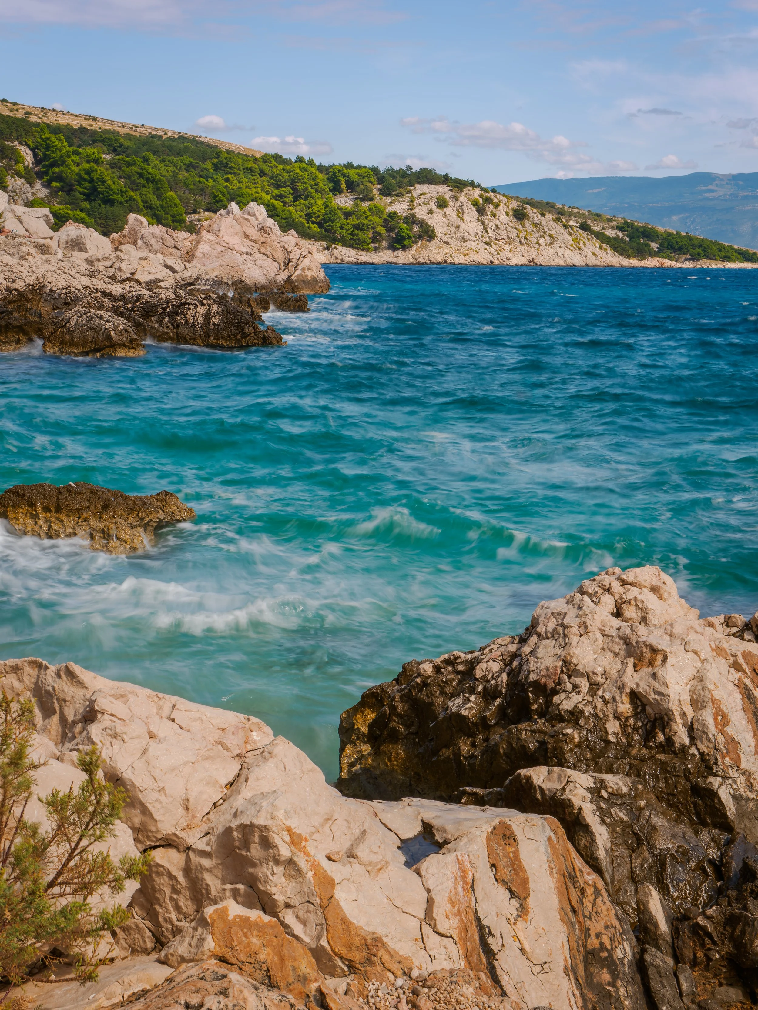 _8240324-2-DxO_DeepPRIME XD2s_XD.jpg