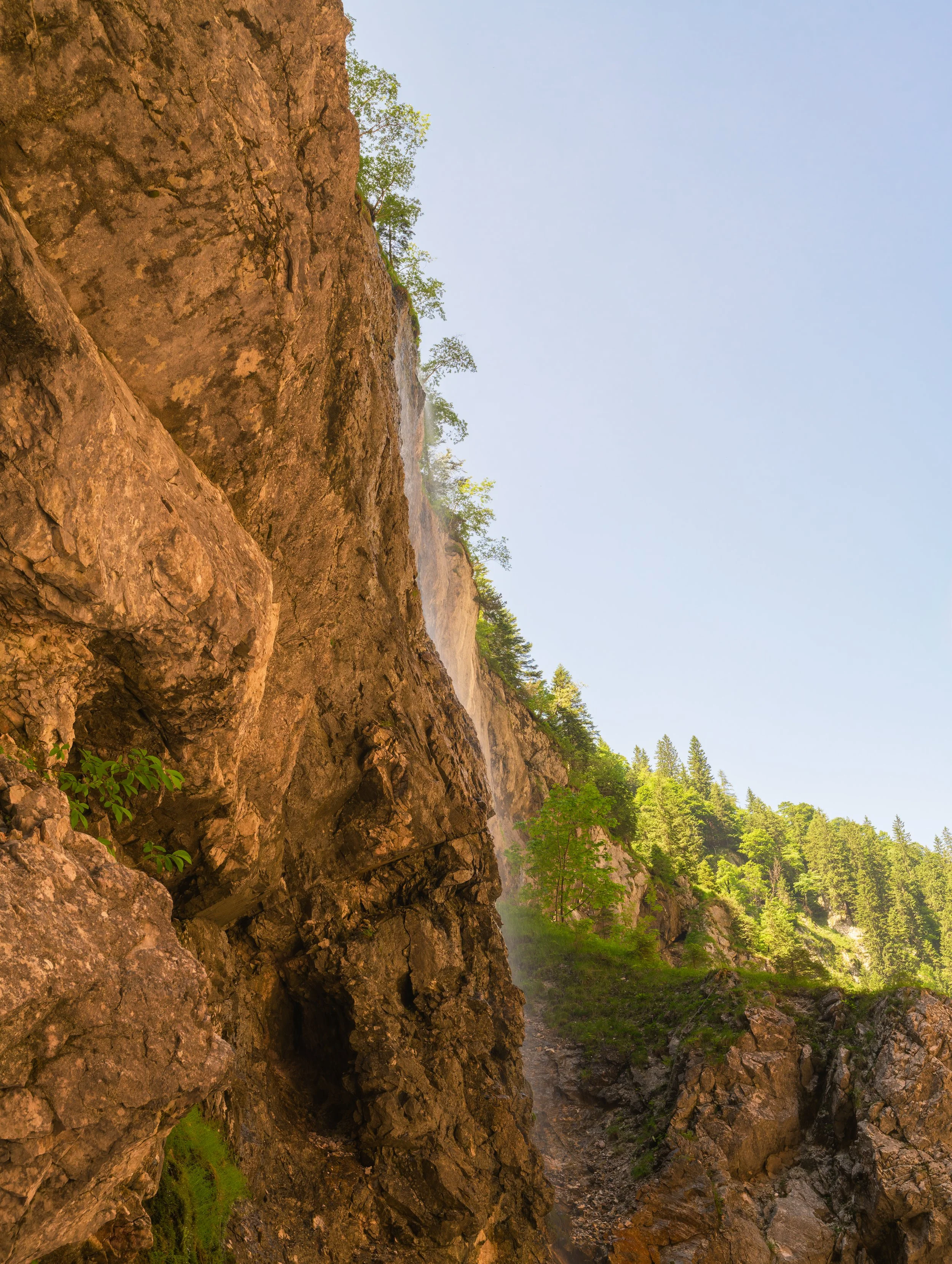 _ACR4914-DxO_DeepPRIME XD2s_XD.jpg